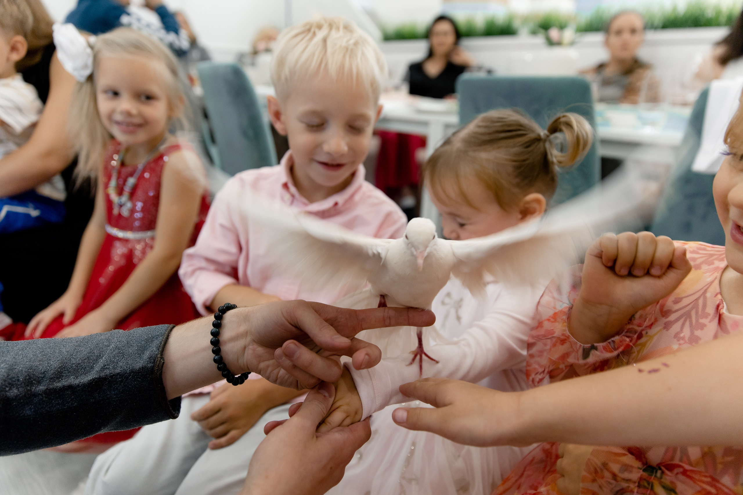 Стефания 2 года. Фотограф Роман Полянин