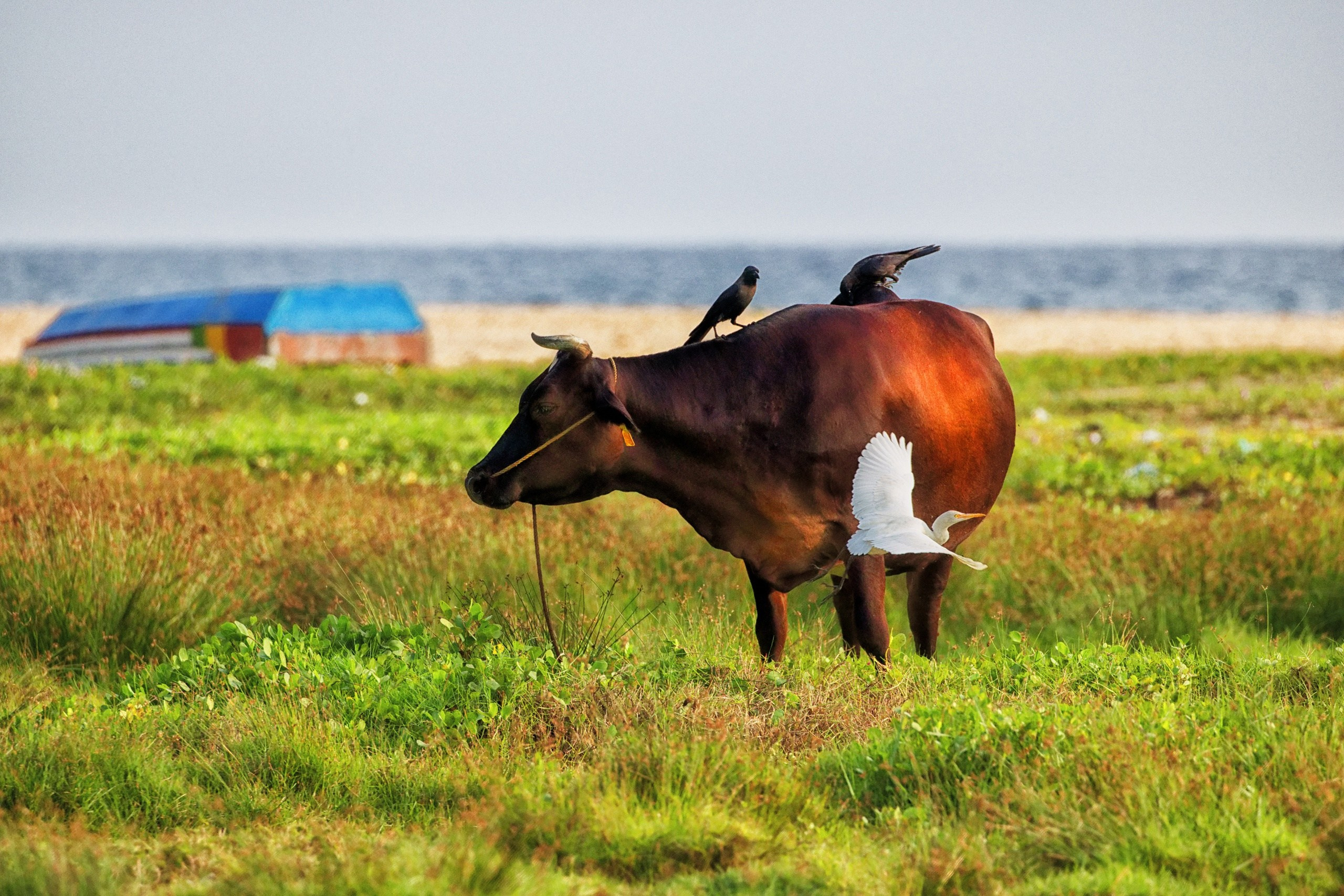 ПРИРОДА. Слепки времени. Фотографии природы и событий. Москва. Сергей Аллагулов