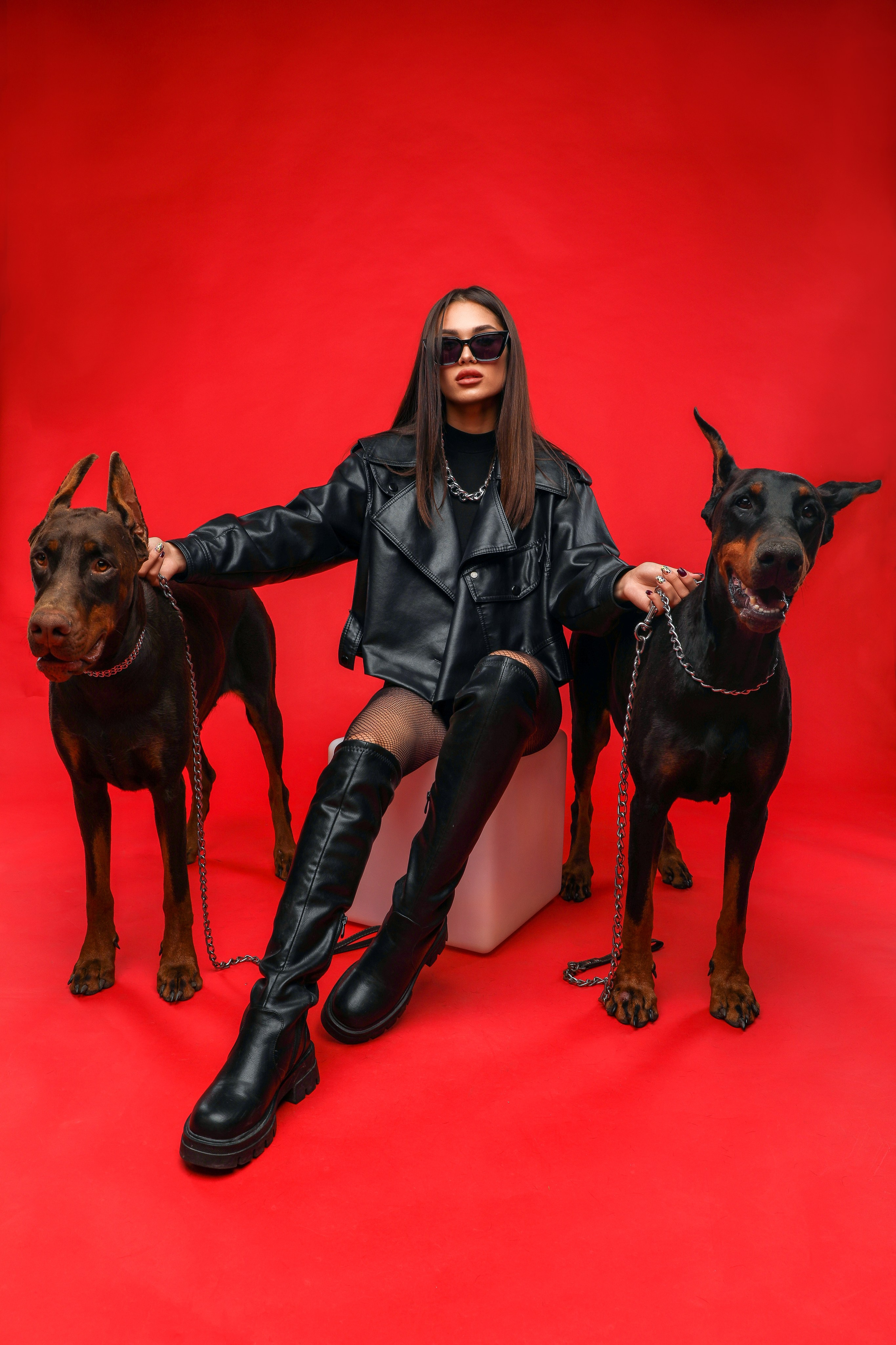 ПРОЕКТ «ДОБЕРМАНЫ». Photographer Viktoriya Markushina «My world throug»