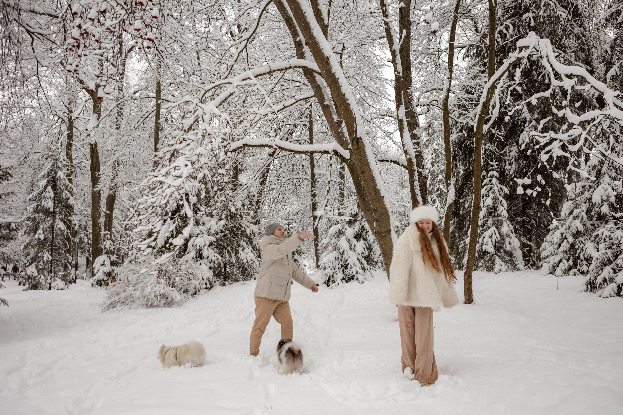 Новогодняя фотосессия с собачками в шуваловском парке. Свадебный фотограф в СПБ | Санкт-Петербурге Анастасия Рахимгулова