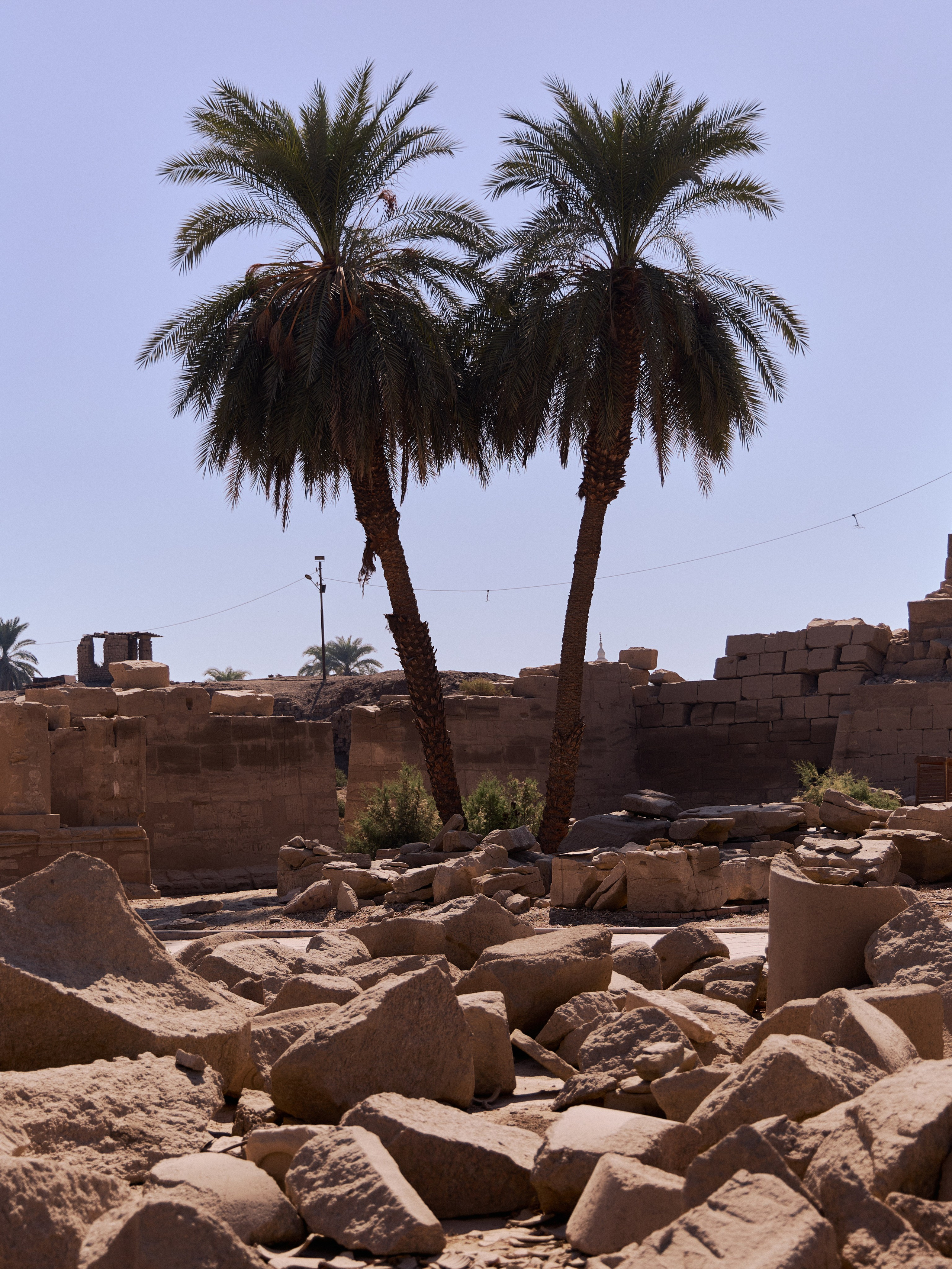 Другое 4. Jorgis — фотограф в Хургаде / обучение фотографии