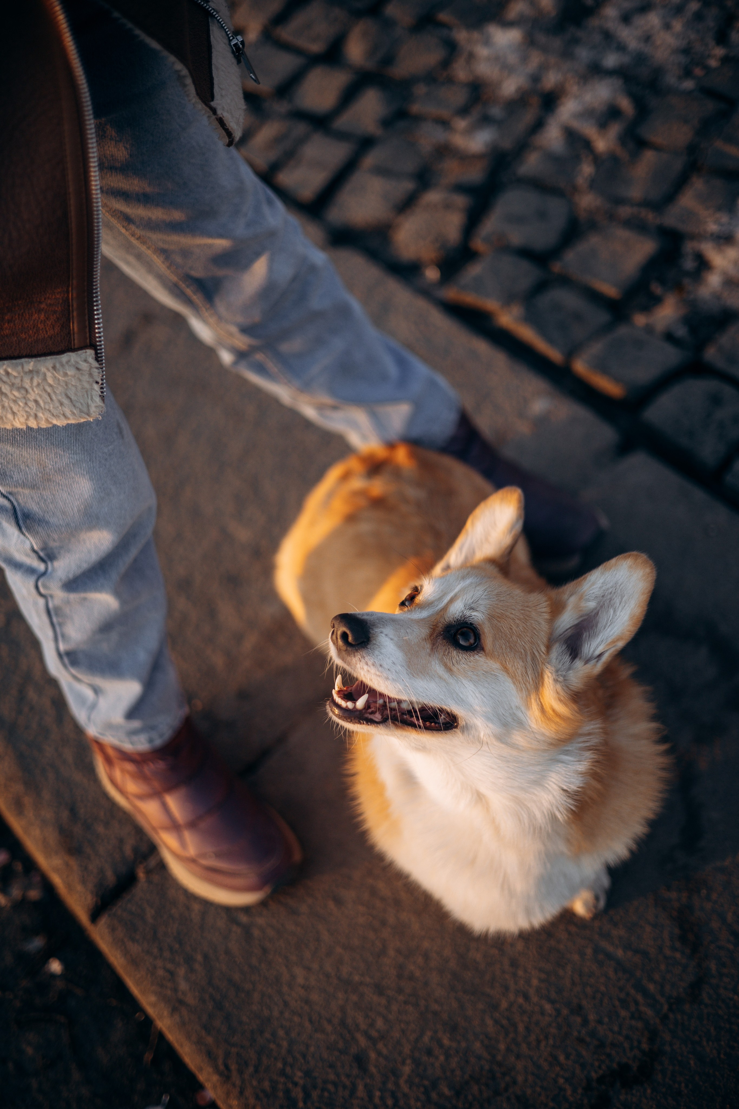 Настя и Ева. Фотограф — Анималист | Санкт-Петербург