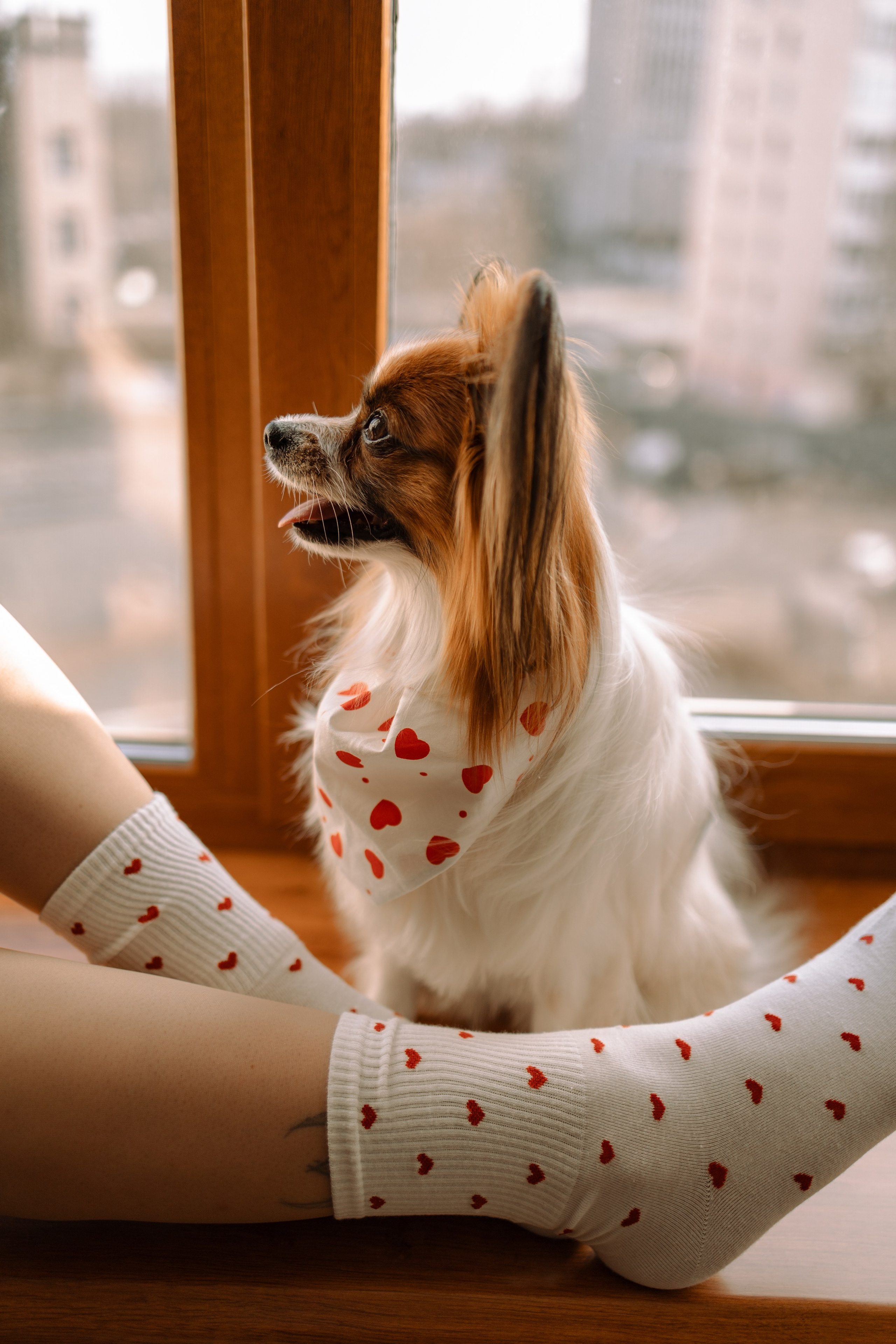 Женя и Брю. Фотограф — Анималист | Санкт-Петербург