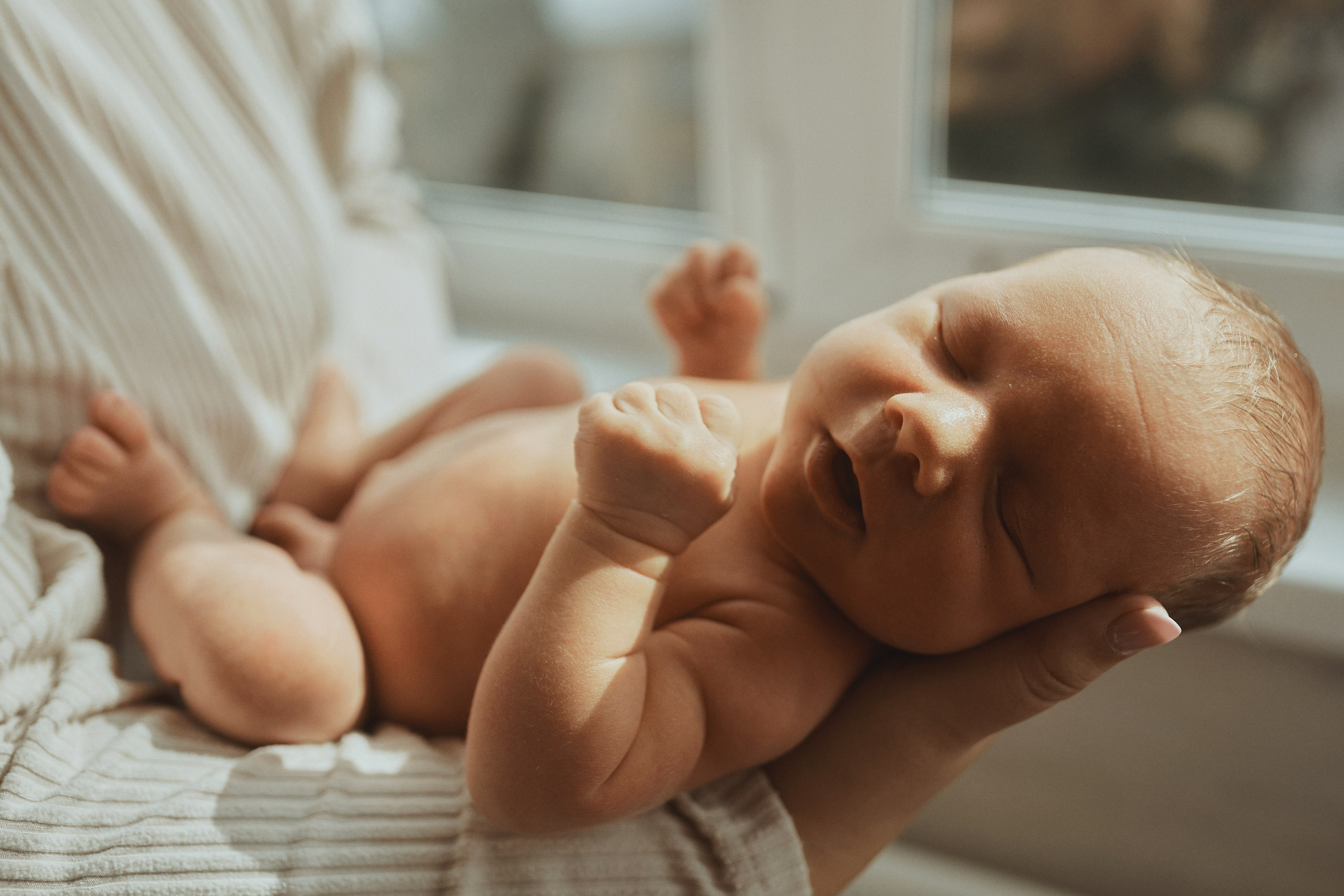 Артемчик. Семейный фотограф в Новосибирске Екатерина Сафронова
