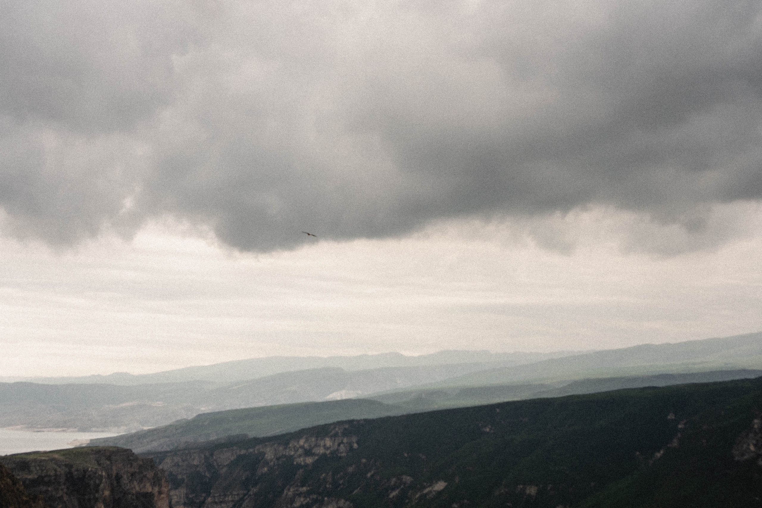 Кавказ. Профессиональный фотограф, Санкт-Петербург — Виктория Богомолова