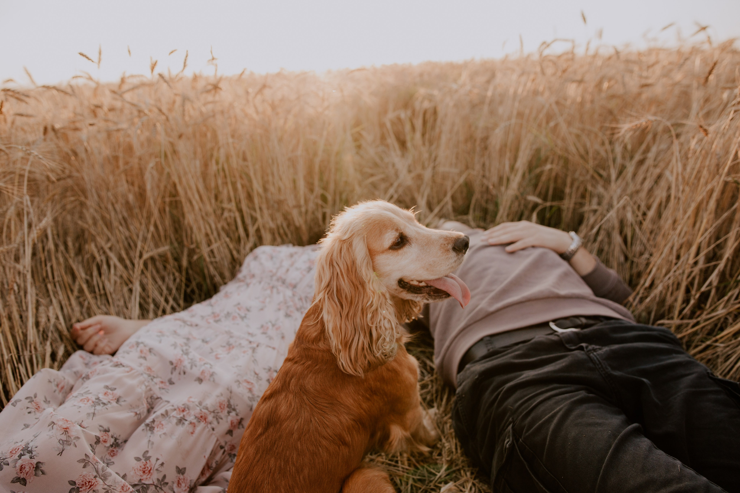 Валерий и Яна. Свадебный фотограф