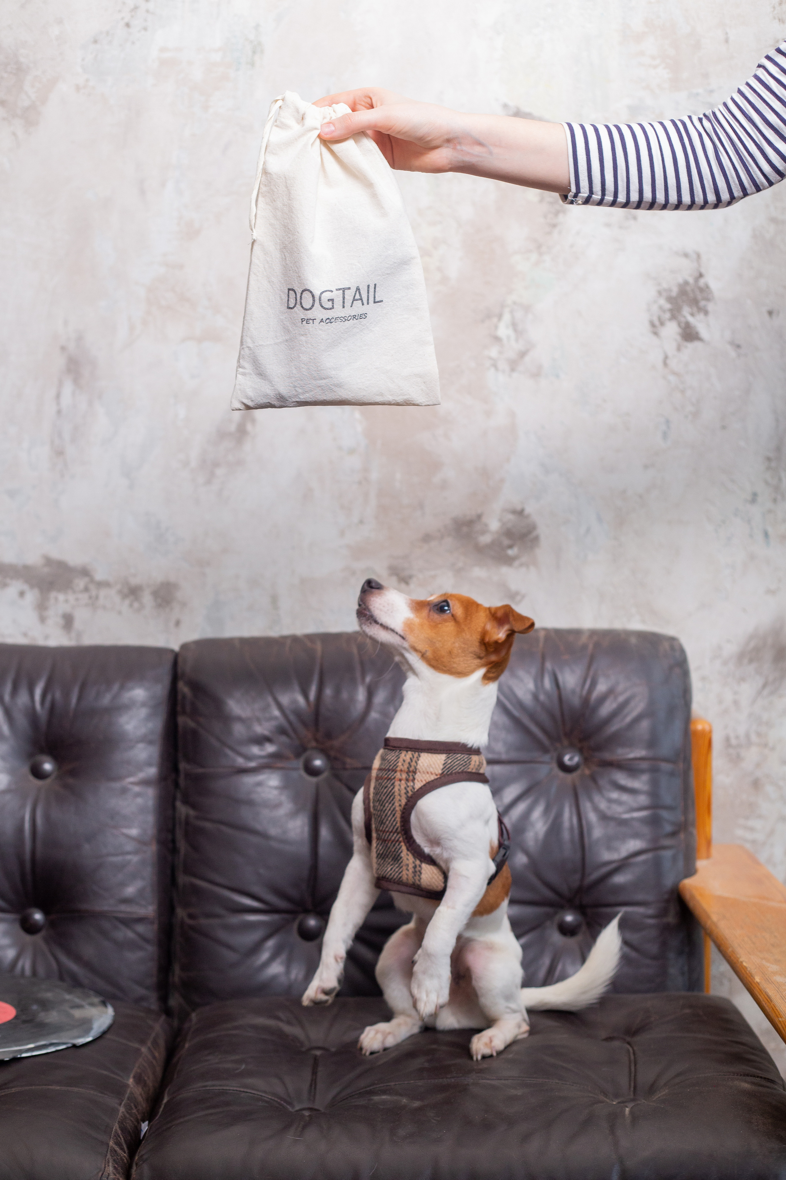 DOGITAIL. Контент–фотограф | Леся Лесная