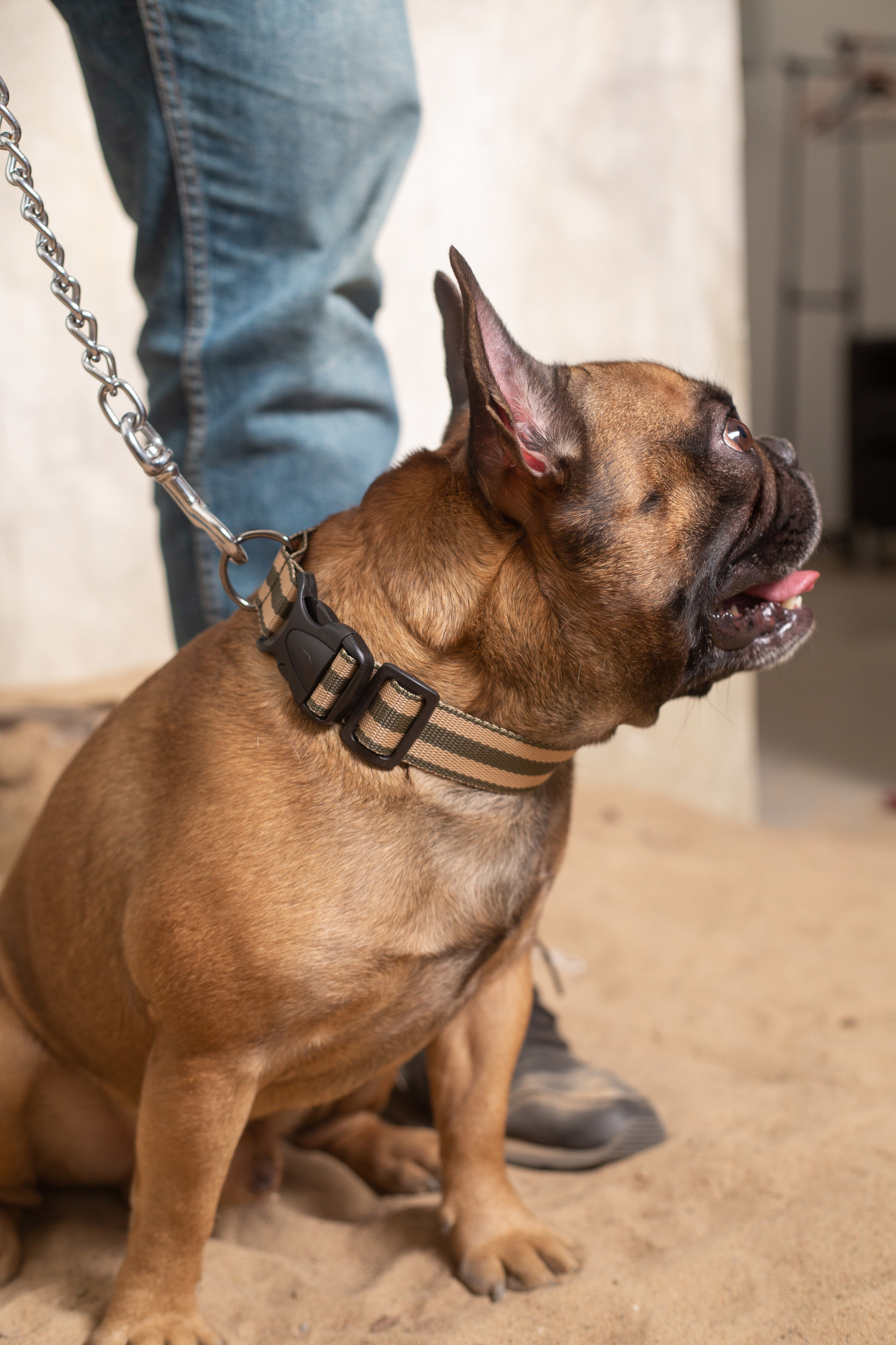 DOGITAIL. Контент–фотограф | Леся Лесная