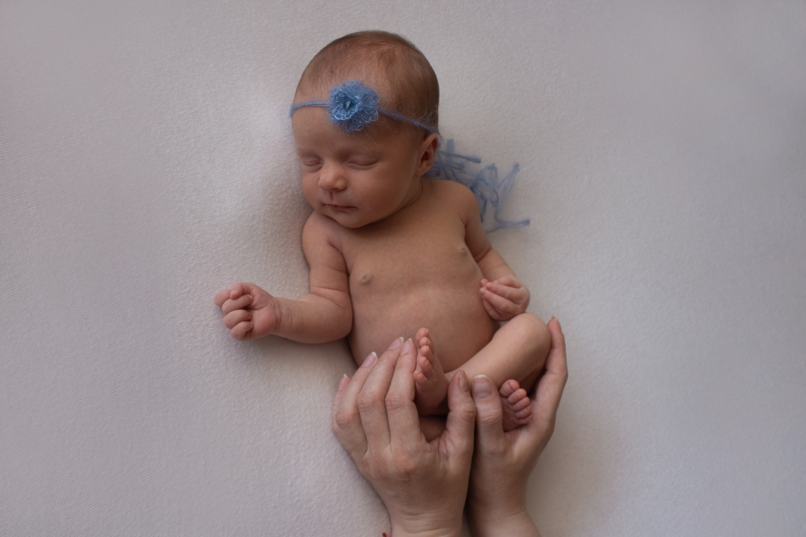 Newborn. Фотограф новорожденных Новосибирск