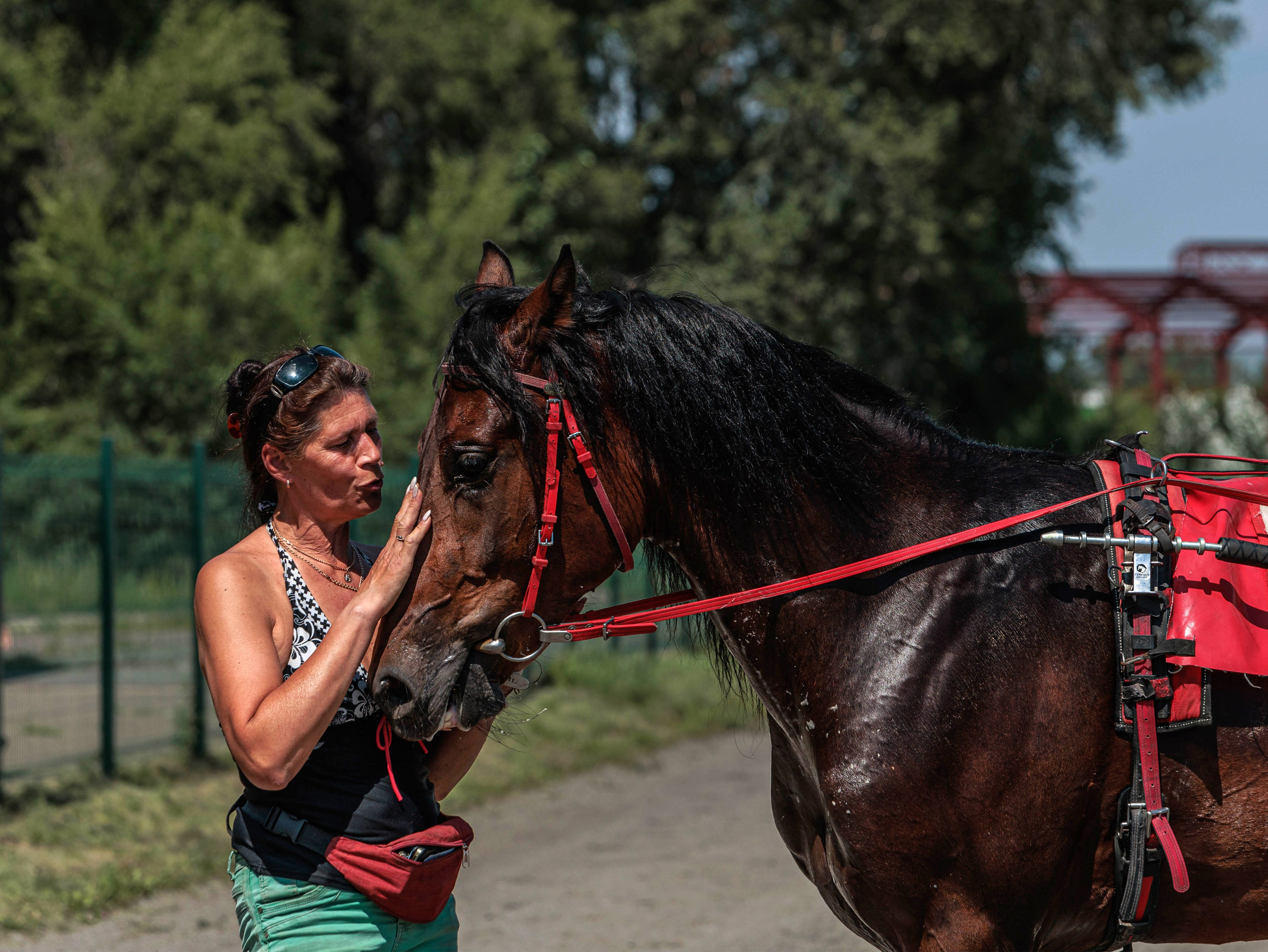 Зарисовки Абаканский ипподром 2025. Конный фотограф в Красноярске — Любовь Похабова