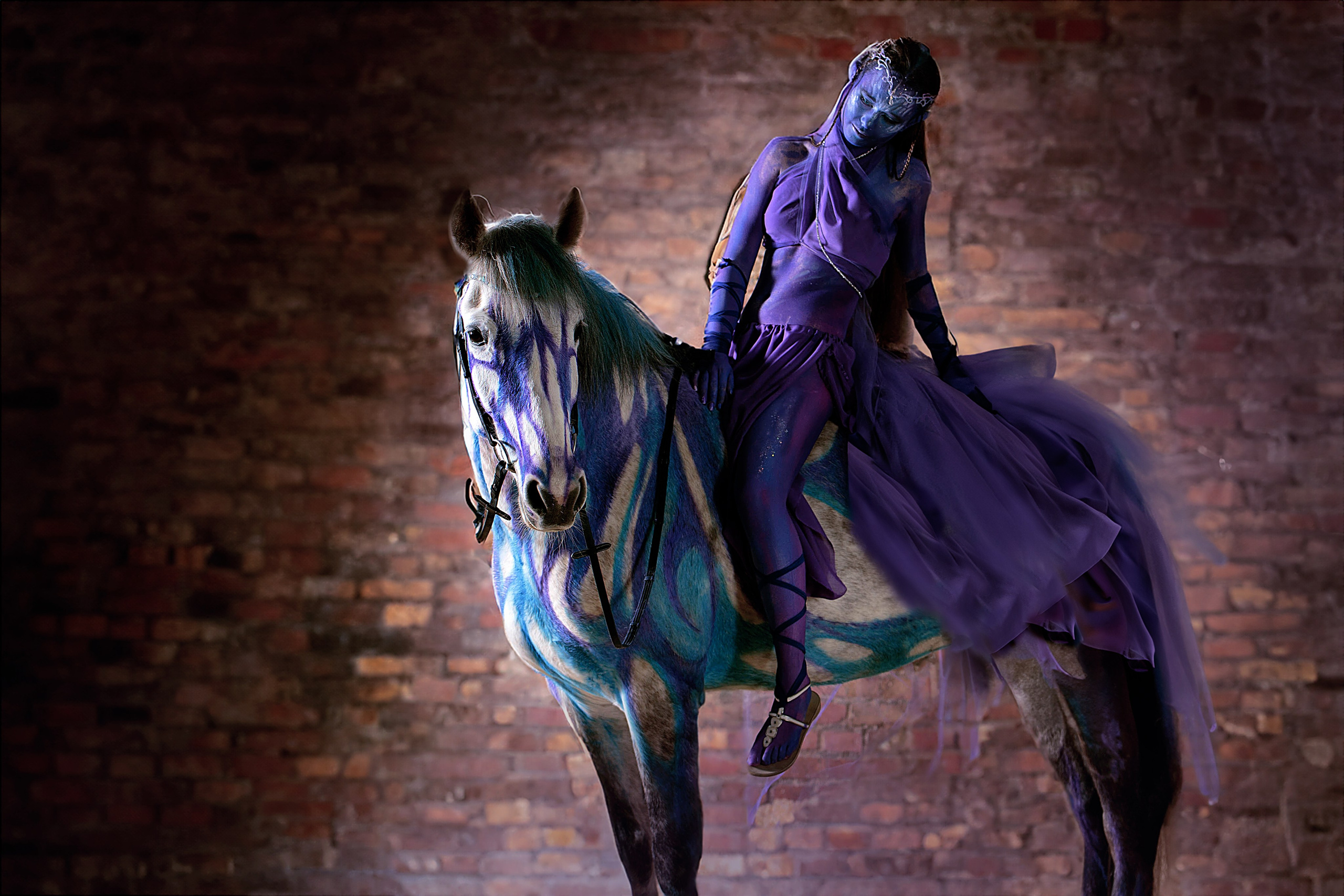 Аватар. Конный фотограф в Красноярске — Любовь Похабова