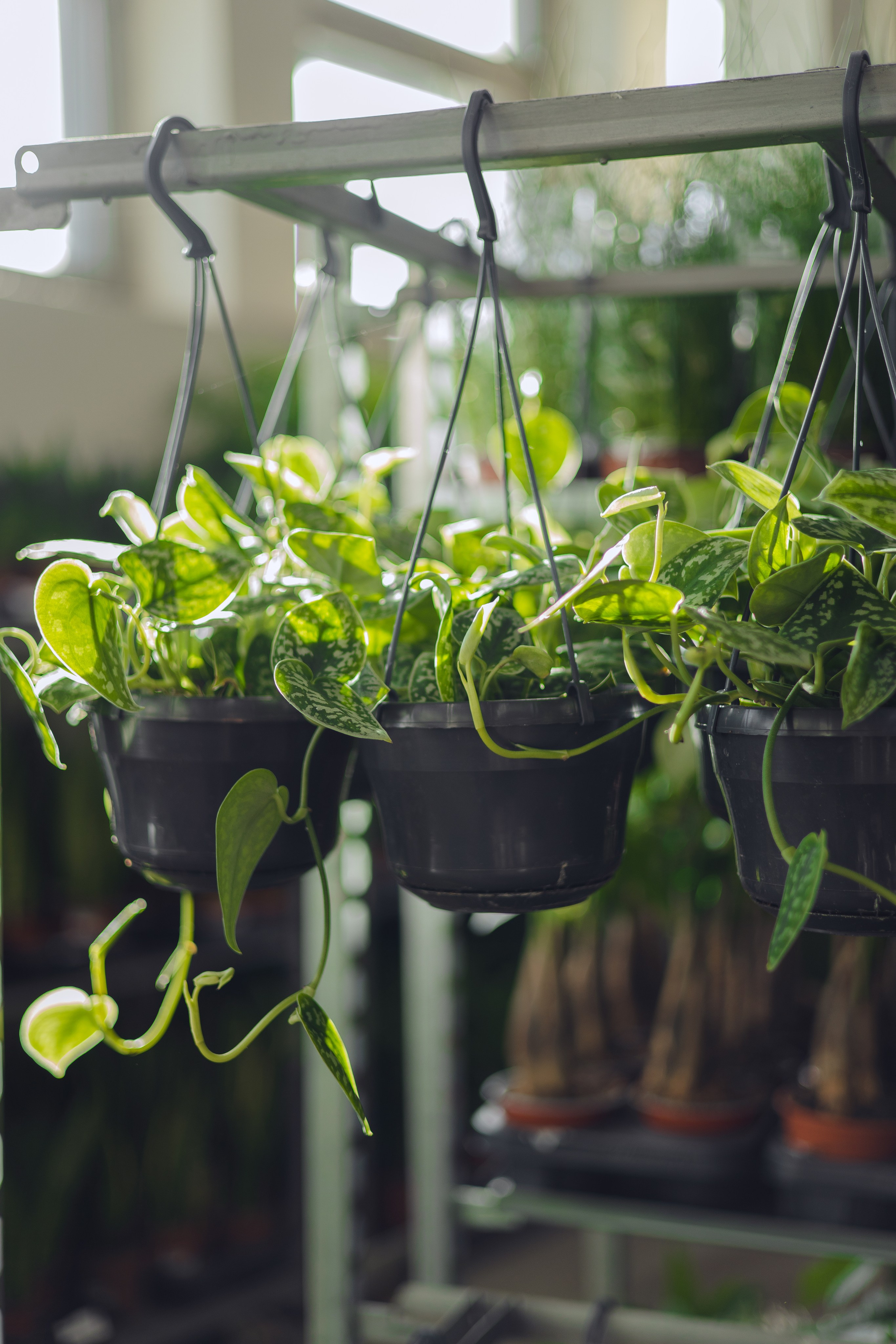 Предметная съемка для бизнеса. Фотограф в Санкт-Петербурге Осокина Елизавета