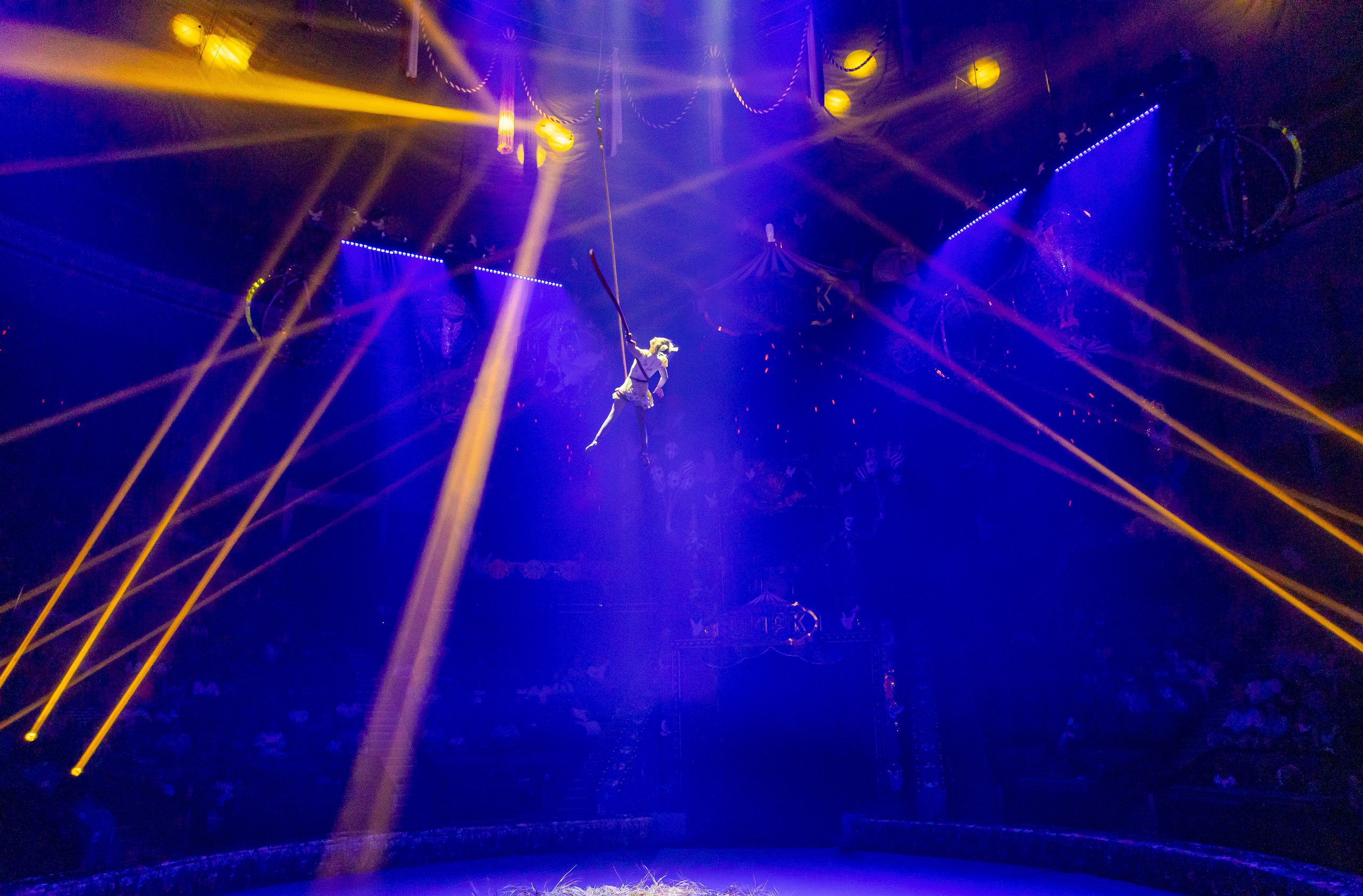 Цирк ГИИ ЭРАДЗЕ. Семейный и Свадебный фотограф в Сочи