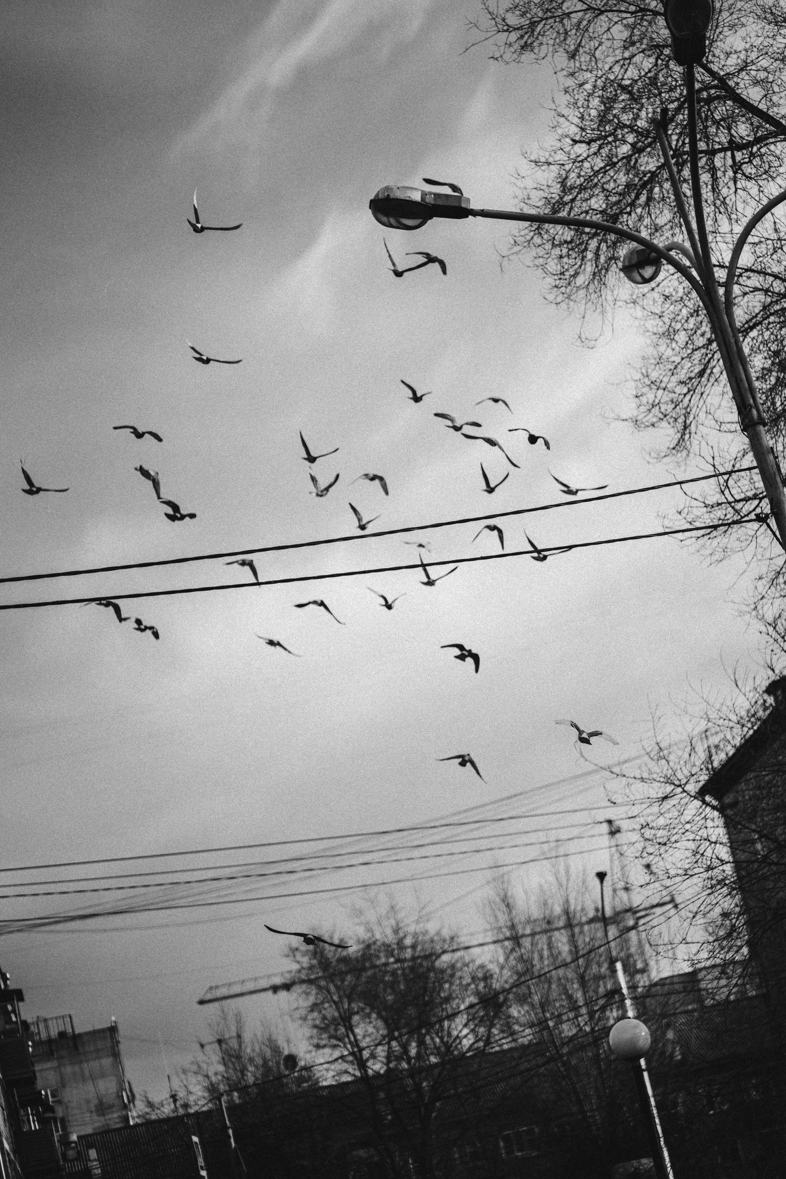 Ксю. Фотограф Контузорова Ольга