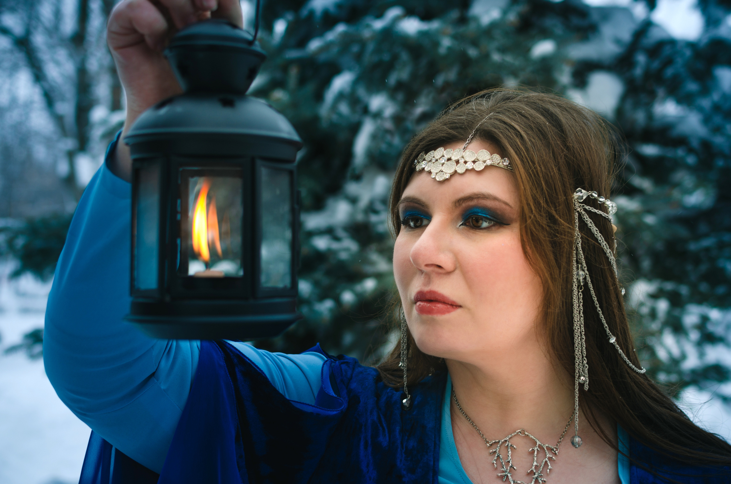 Зимняя сказка. Николай Пелевин | Чешир_фото | Самара