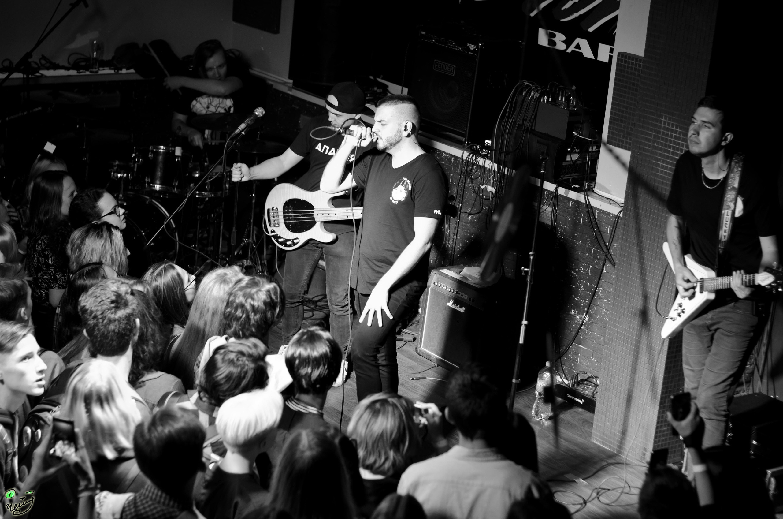 Концертное. Николай Пелевин | Чешир_фото | Самара