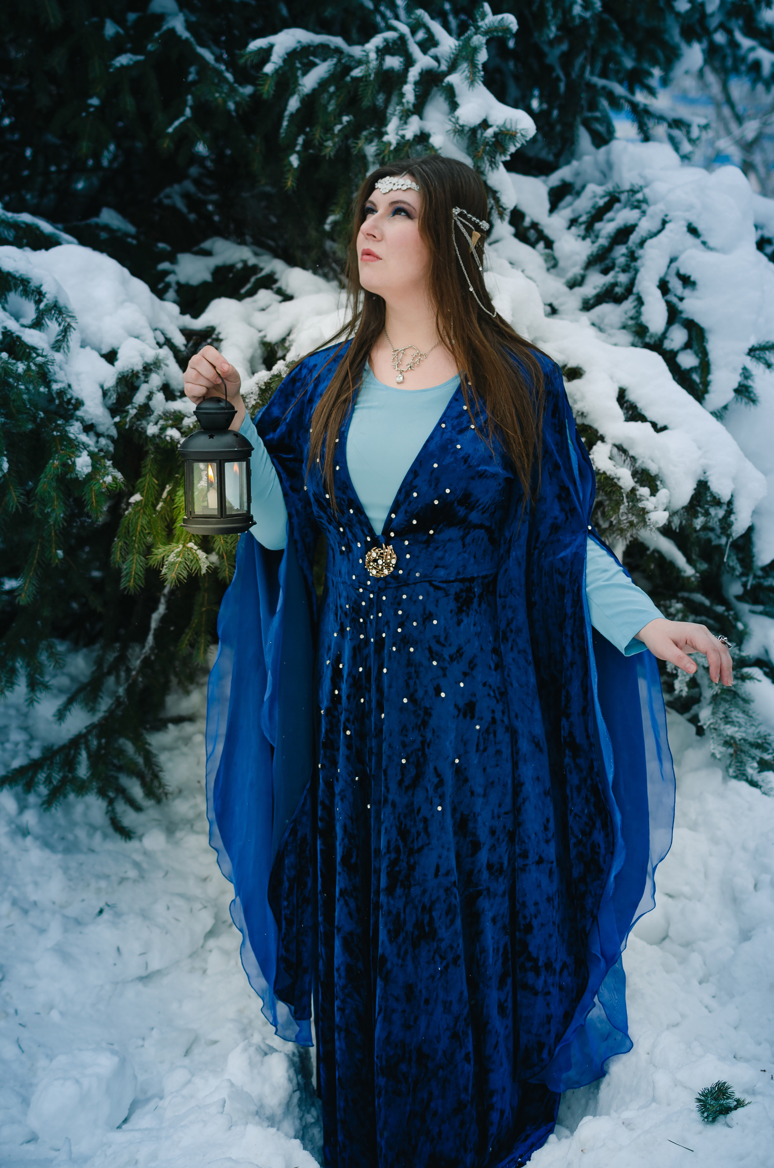 Зимняя сказка. Николай Пелевин | Чешир_фото | Самара