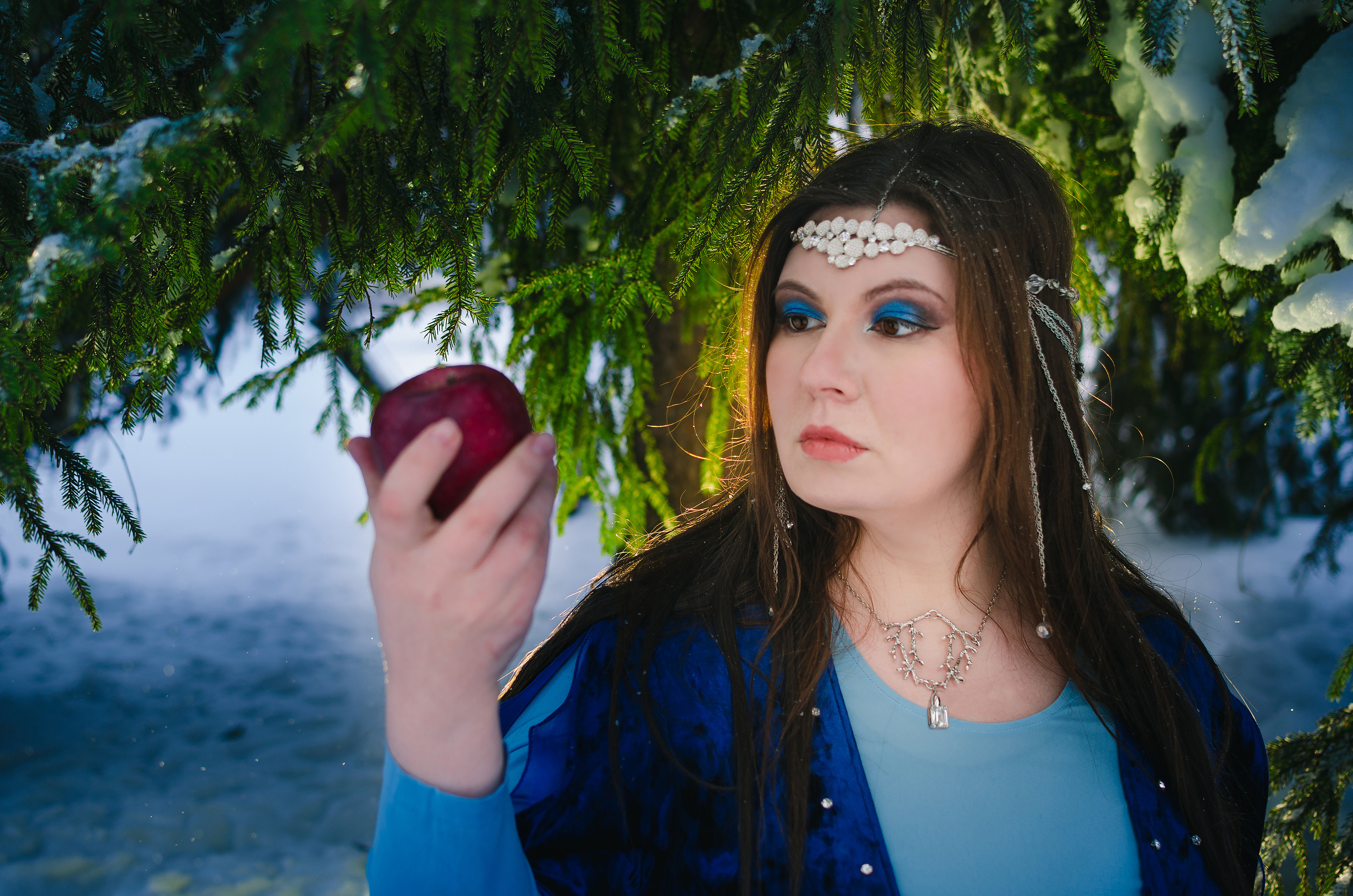 Зимняя сказка. Николай Пелевин | Чешир_фото | Самара