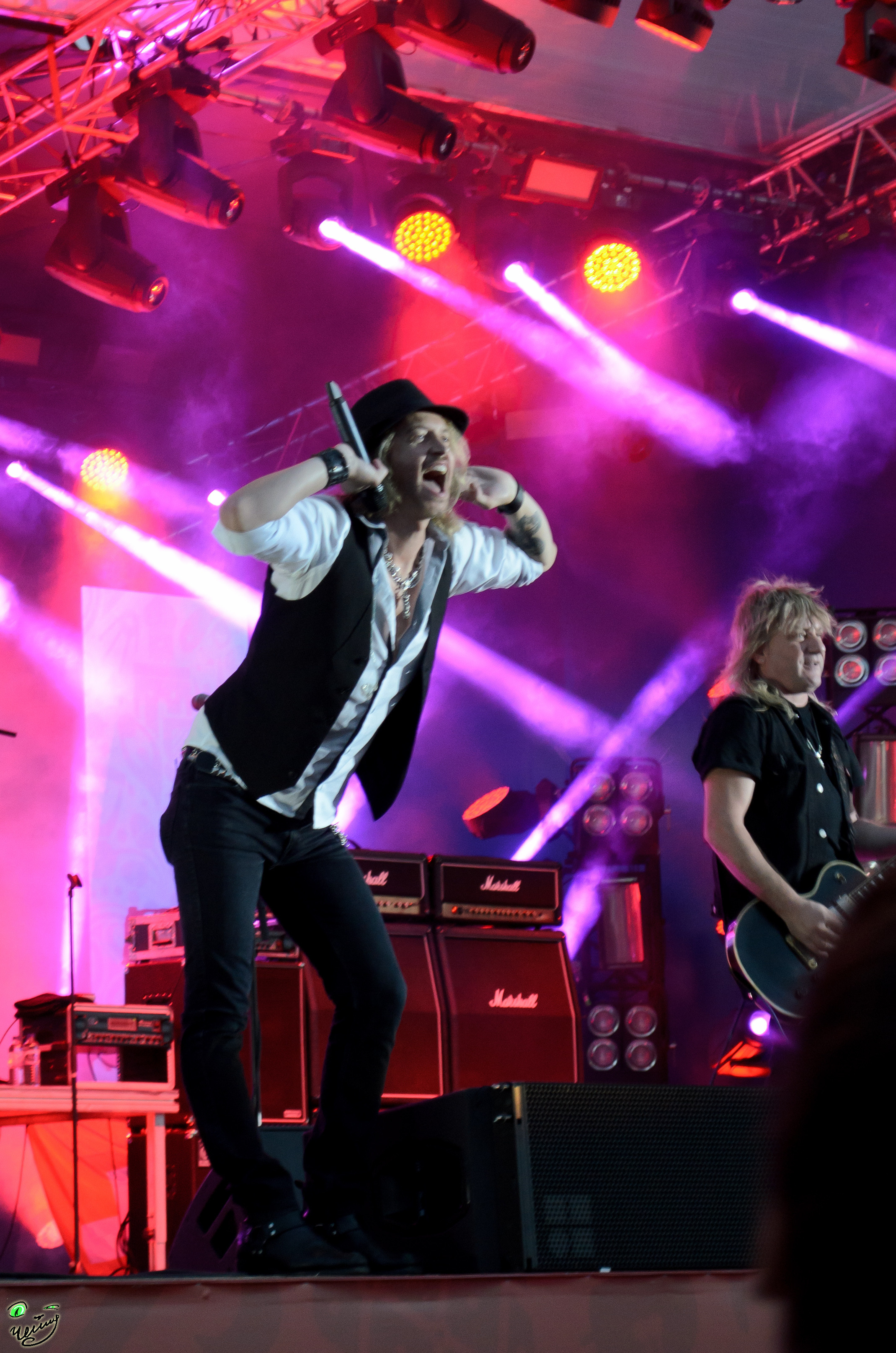 Концертное. Николай Пелевин | Чешир_фото | Самара