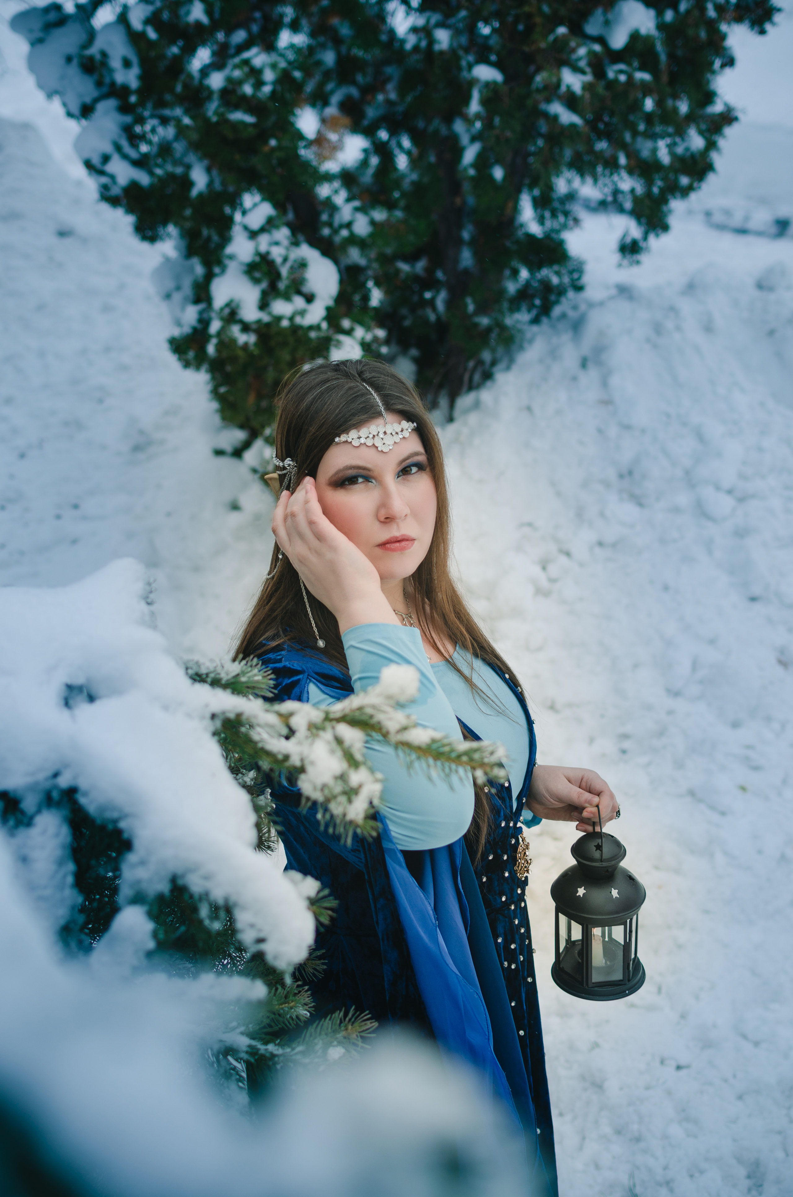 Зимняя сказка. Николай Пелевин | Чешир_фото | Самара