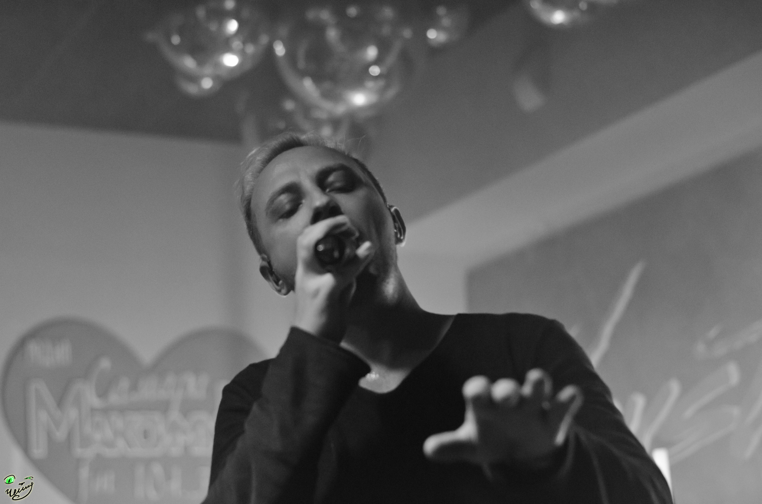 Концертное. Николай Пелевин | Чешир_фото | Самара