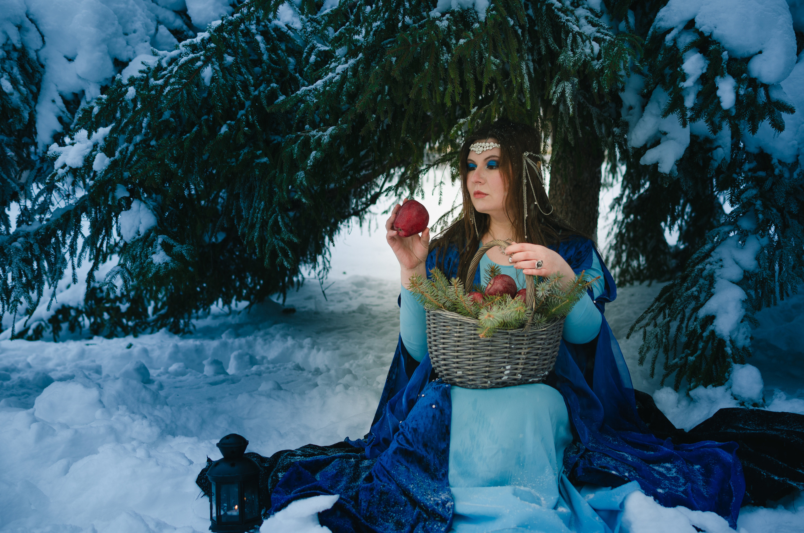 Зимняя сказка. Николай Пелевин | Чешир_фото | Самара