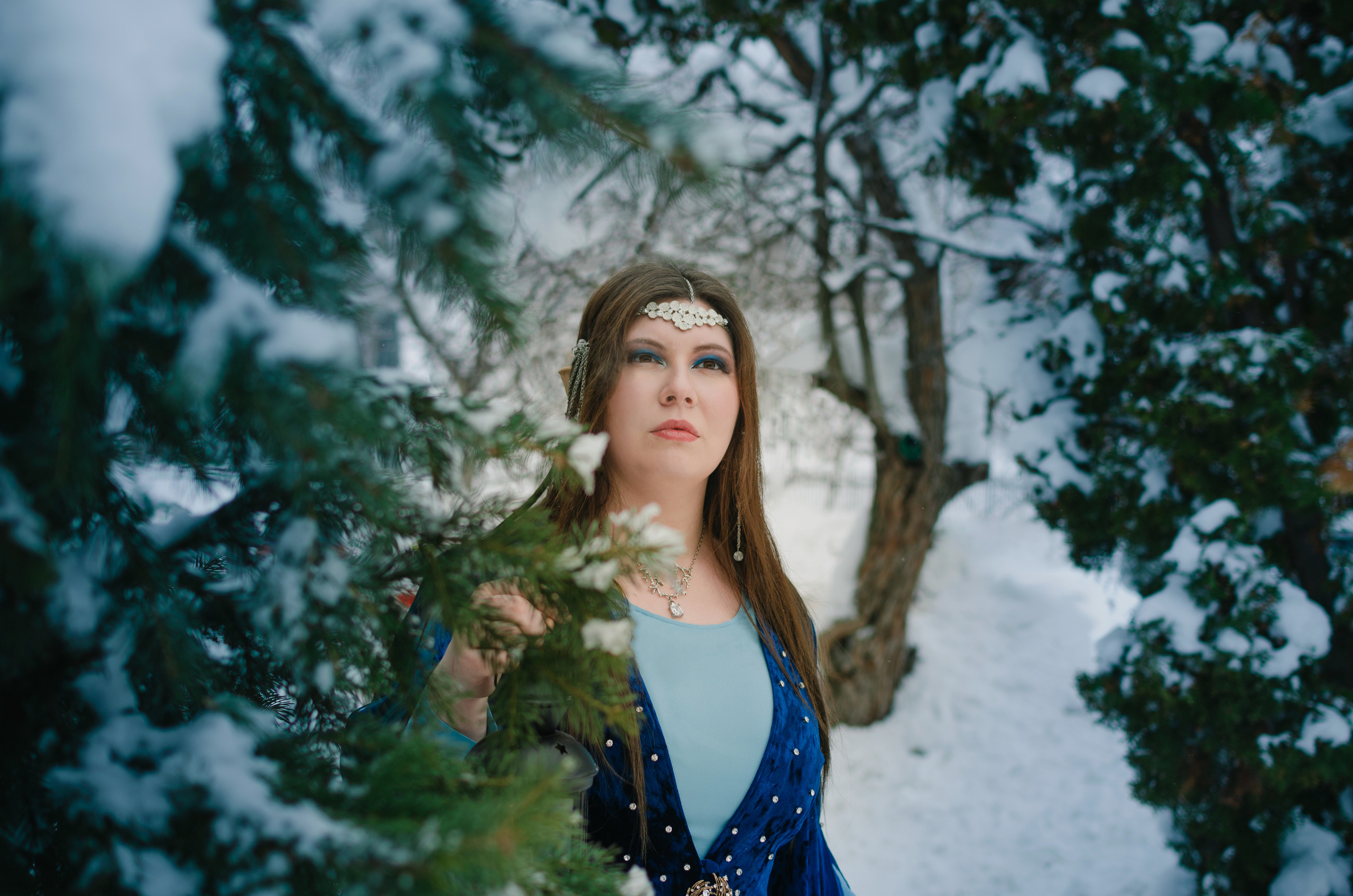 Зимняя сказка. Николай Пелевин | Чешир_фото | Самара