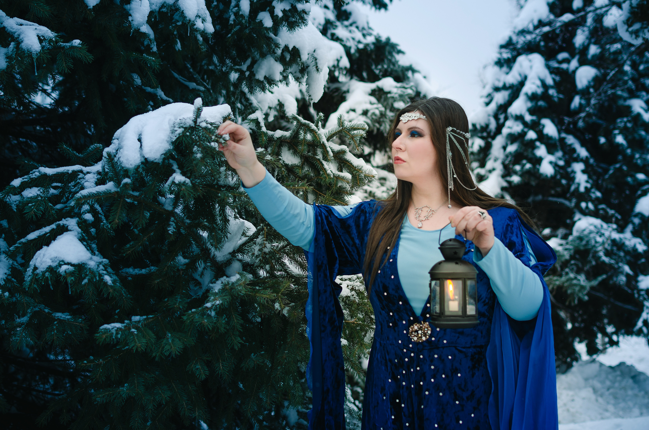 Зимняя сказка. Николай Пелевин | Чешир_фото | Самара