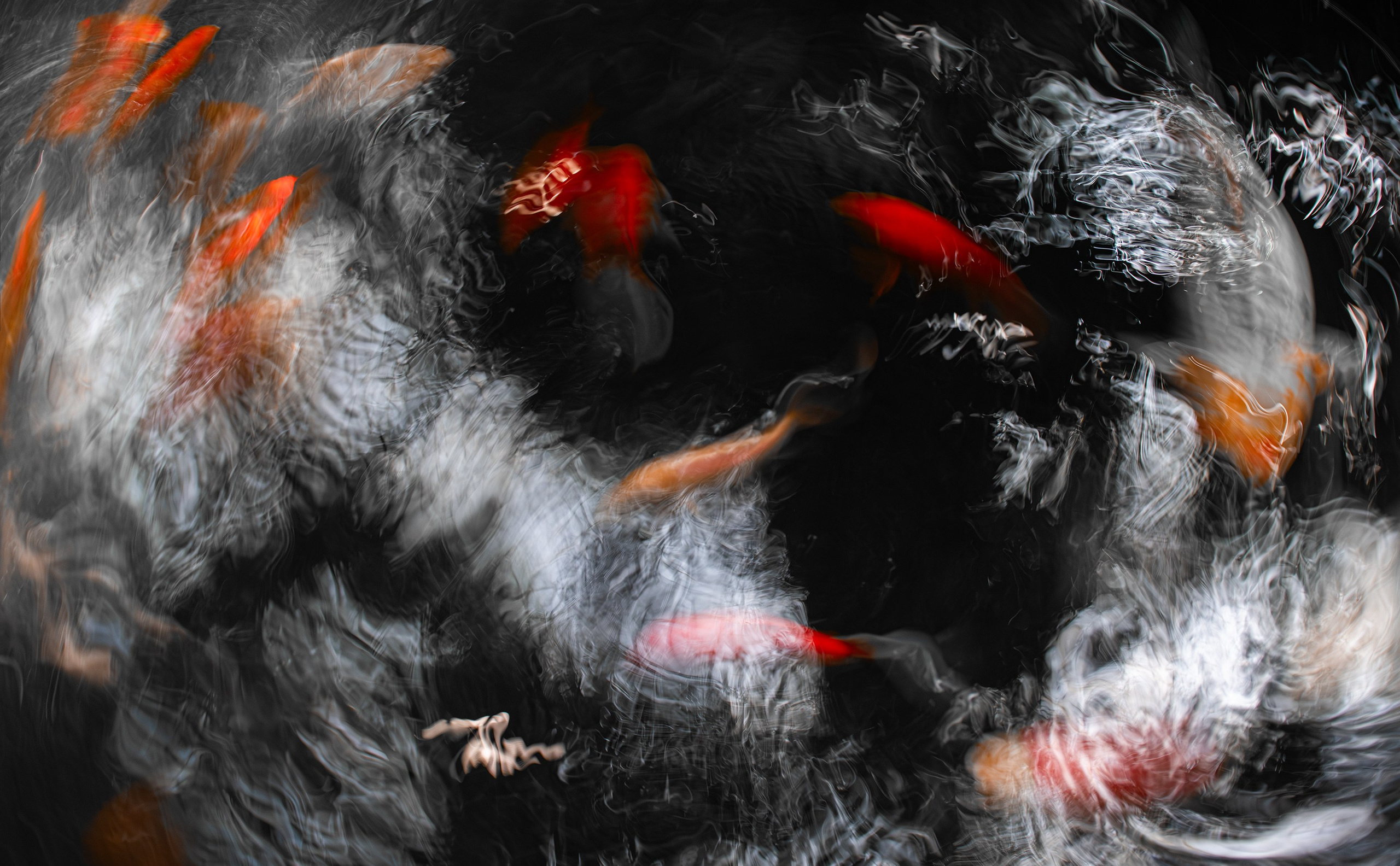 UNDERWATER. LUMEN DUO Art photography for interiors