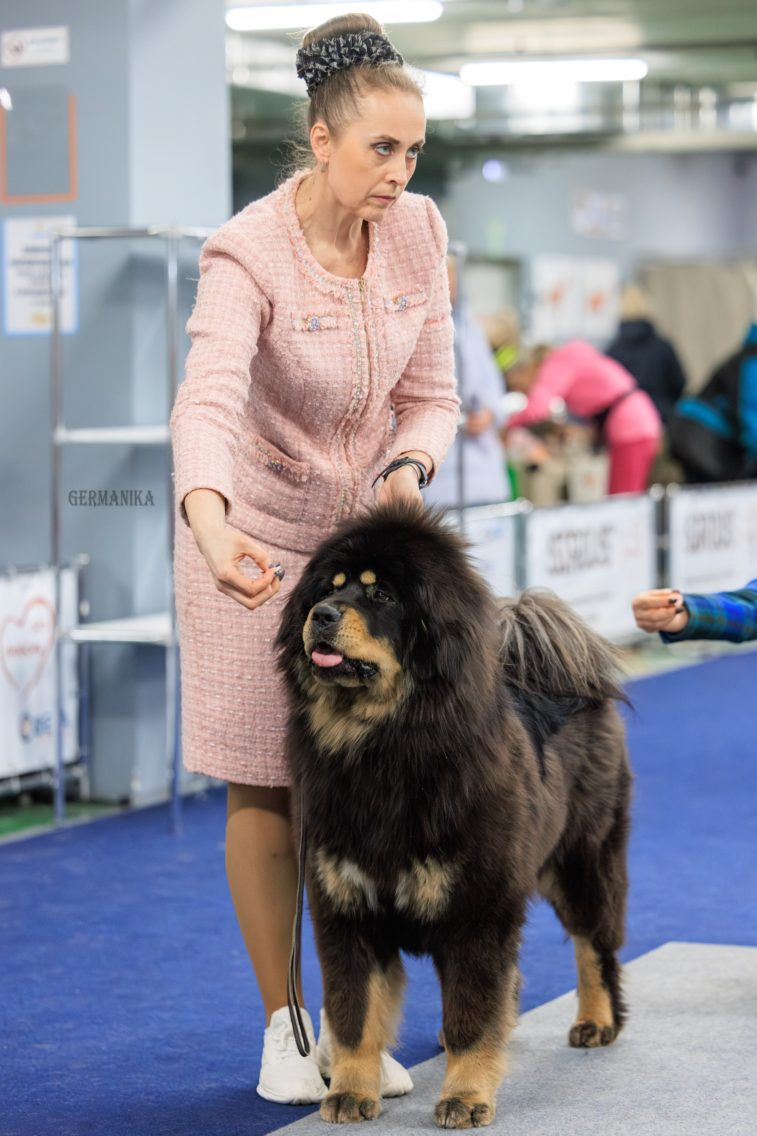 Сфера 08 и 10.03.2024 2хмоно ротвейлеров+2хмоно сао. Фотограф-анималист Юлия Германика