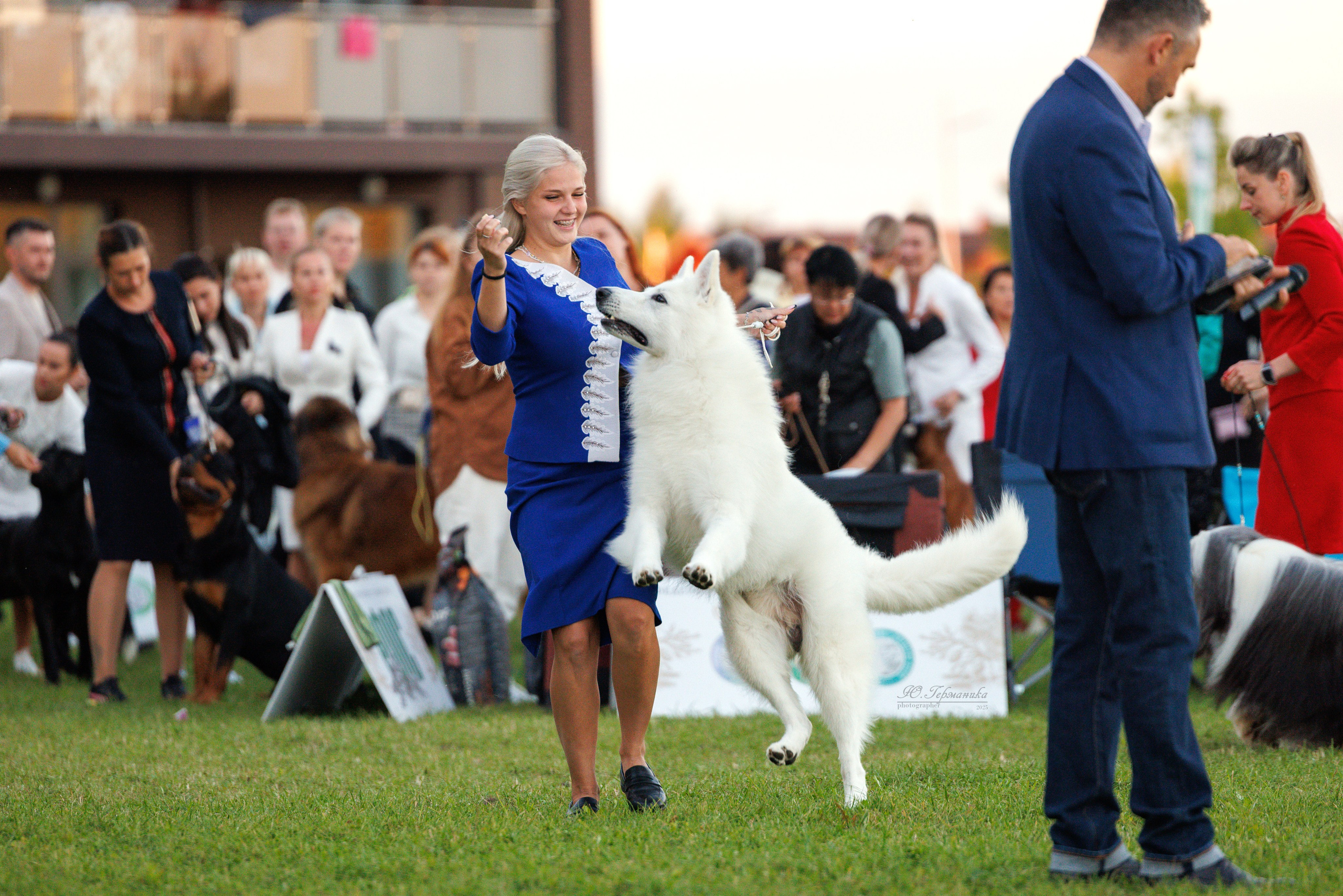 Переславль 5-7.08.2025. Фотограф-анималист Юлия Германика
