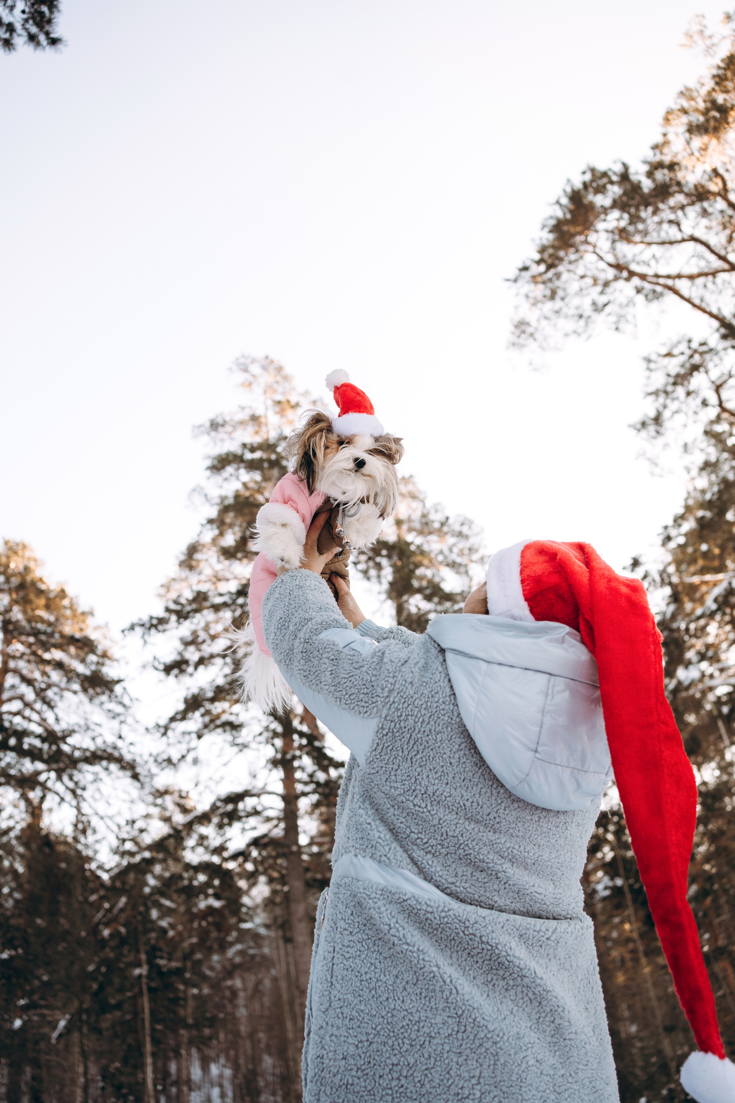 Г. Миасс 2023-2024. Фотограф-анималист Анастасия Большакова