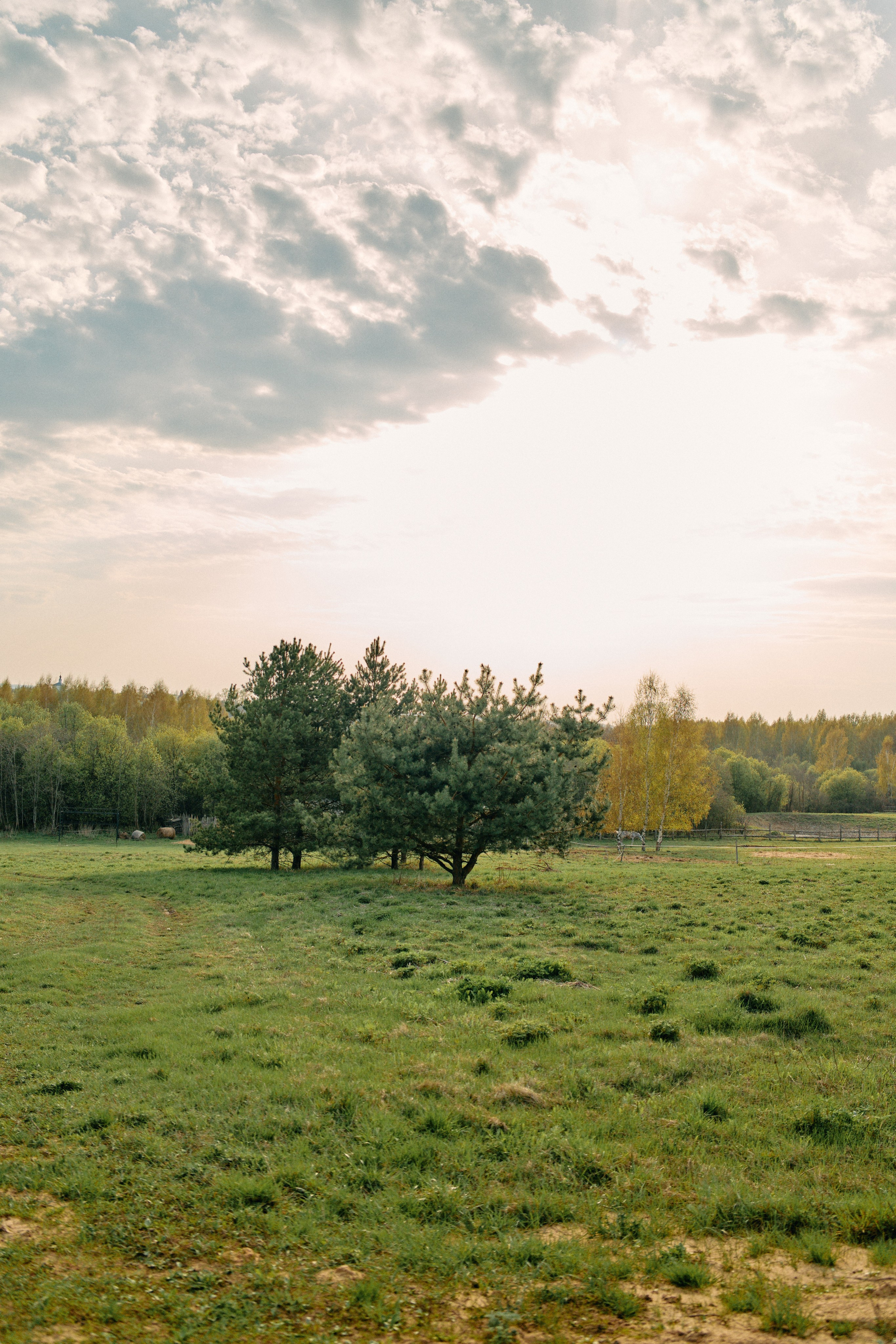 Бутик-отель Поле летом. Профессиональный Фотограф во Владимире, в Москве и в Суздале — Полина Романычева