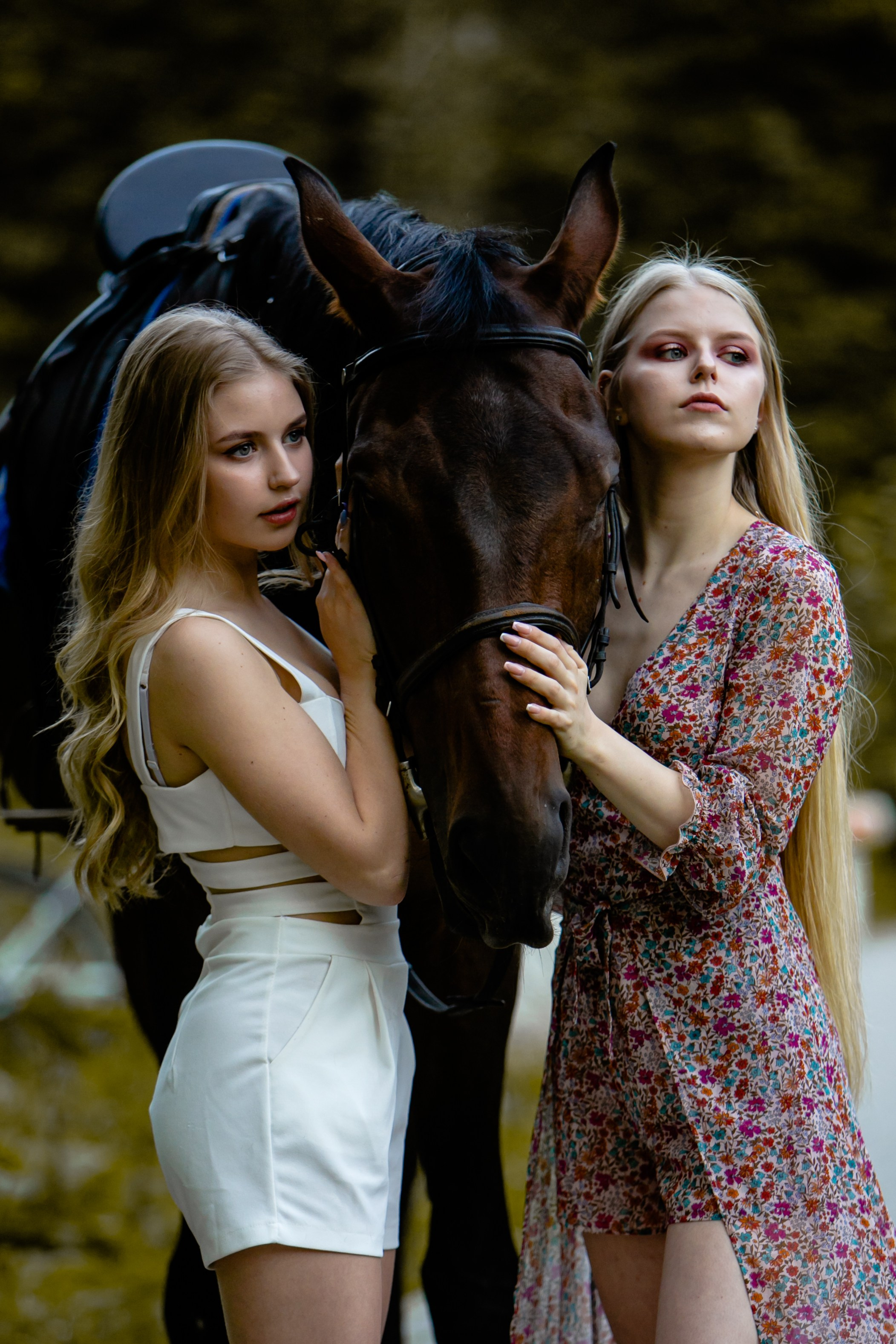 Фото с лошадьми. Фотограф Елена Лагода