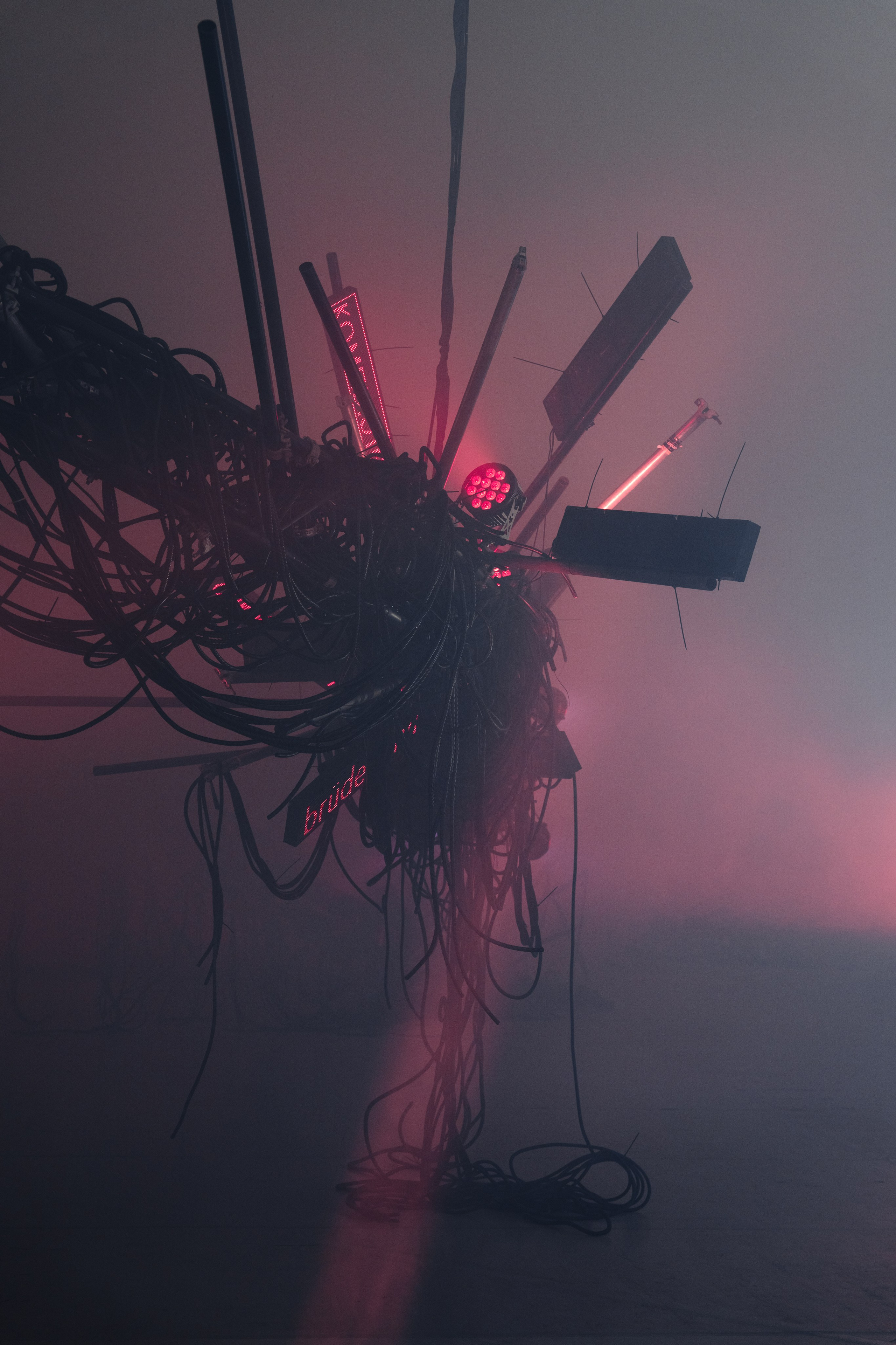 PANTERRA, CHRONOMORPH 001. @tomrus: Рустам Шагиморданов — фотограф