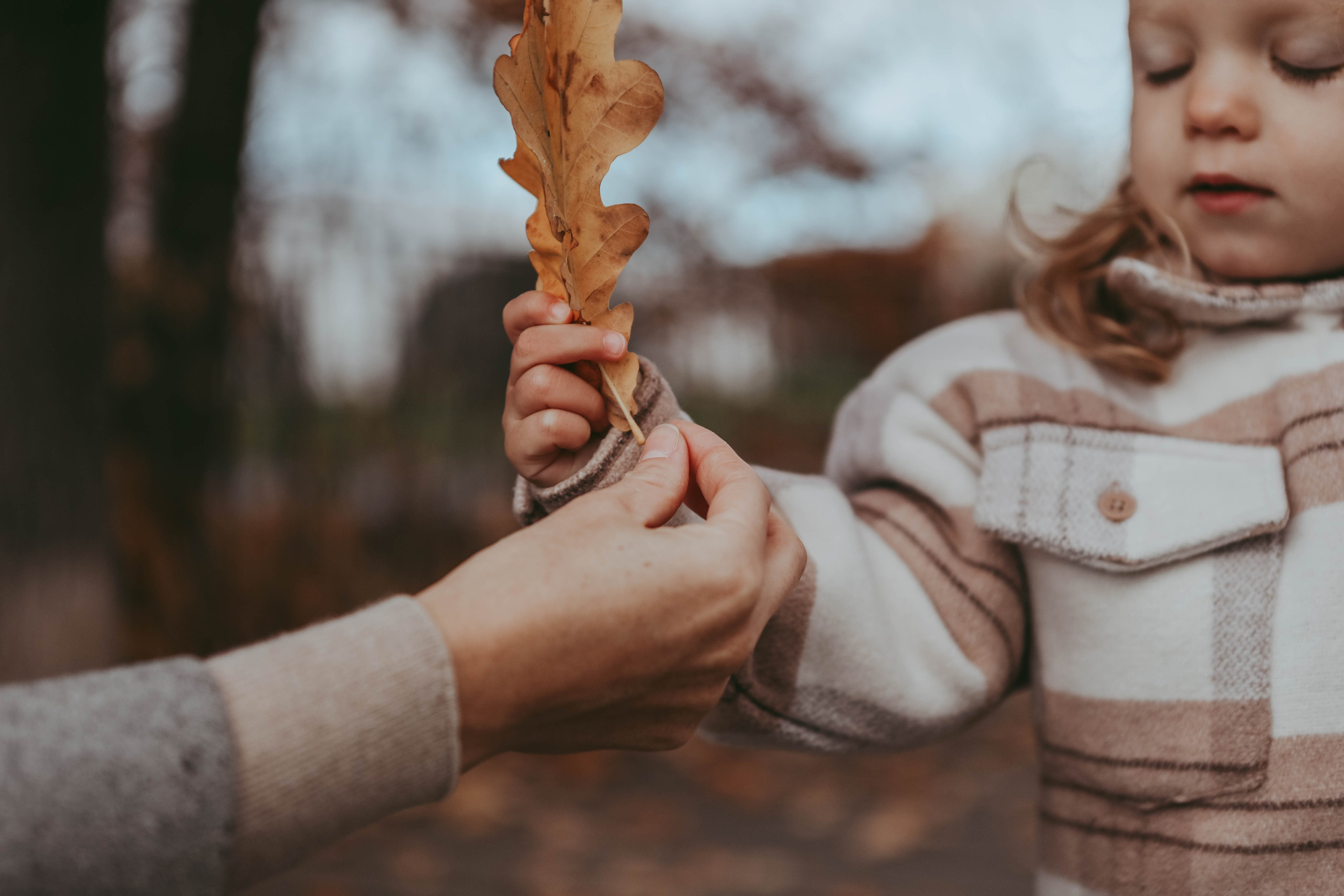 День рождение в осень. Катя Сидор — фотограф в Москве