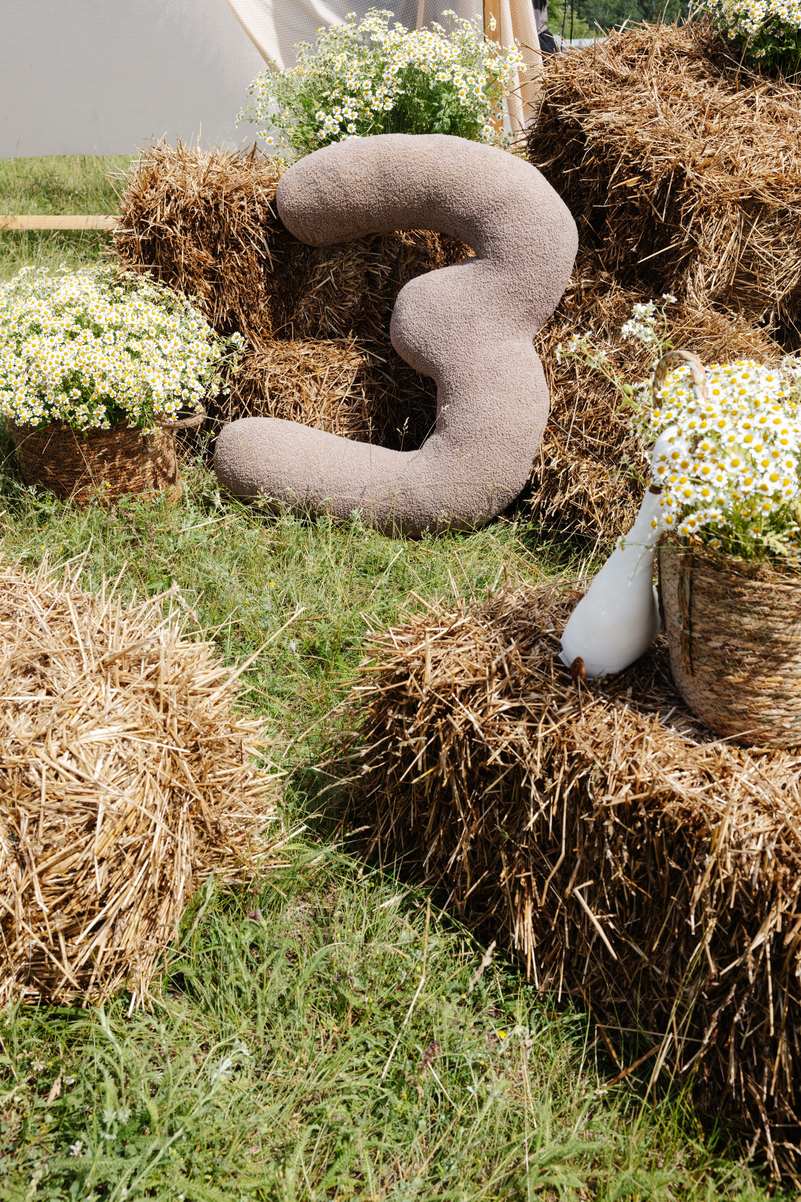 ГЕНДЕР ПАТИ. Фотограф в Красноярске