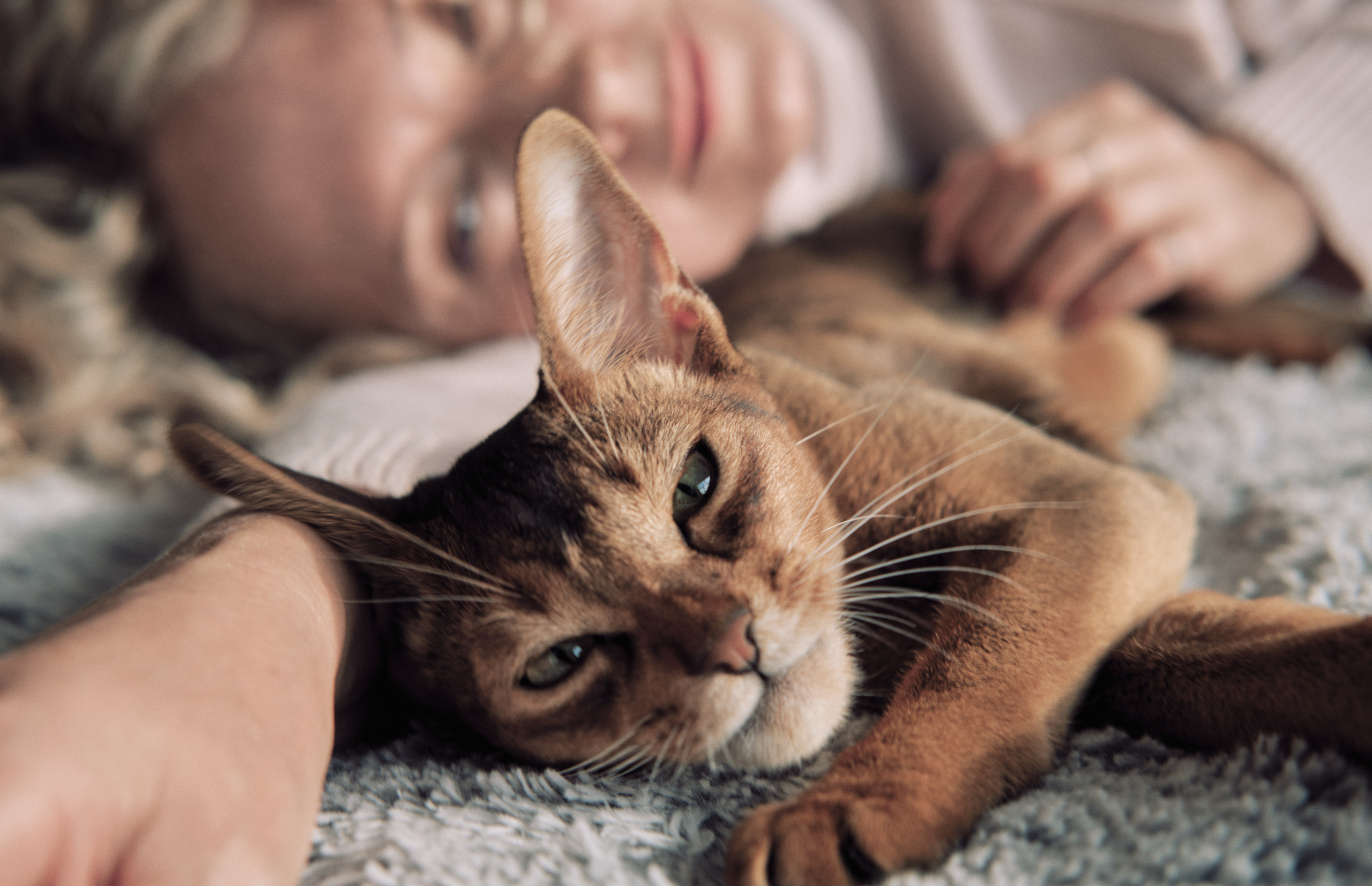 Натали и Печенька. Ася Ложкина фотограф Ижевск