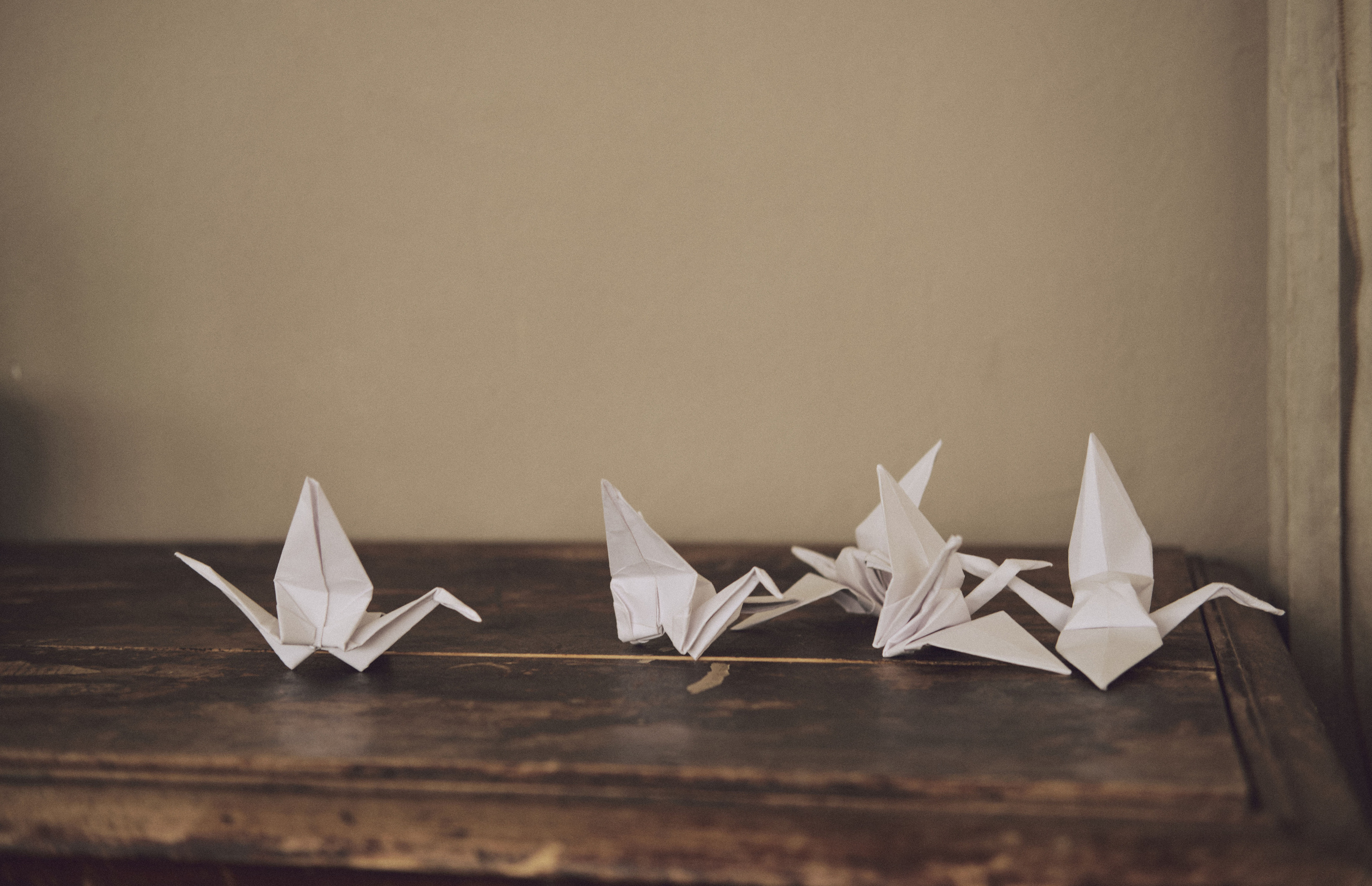 Дарья Фонарева. Ася Ложкина фотограф Ижевск