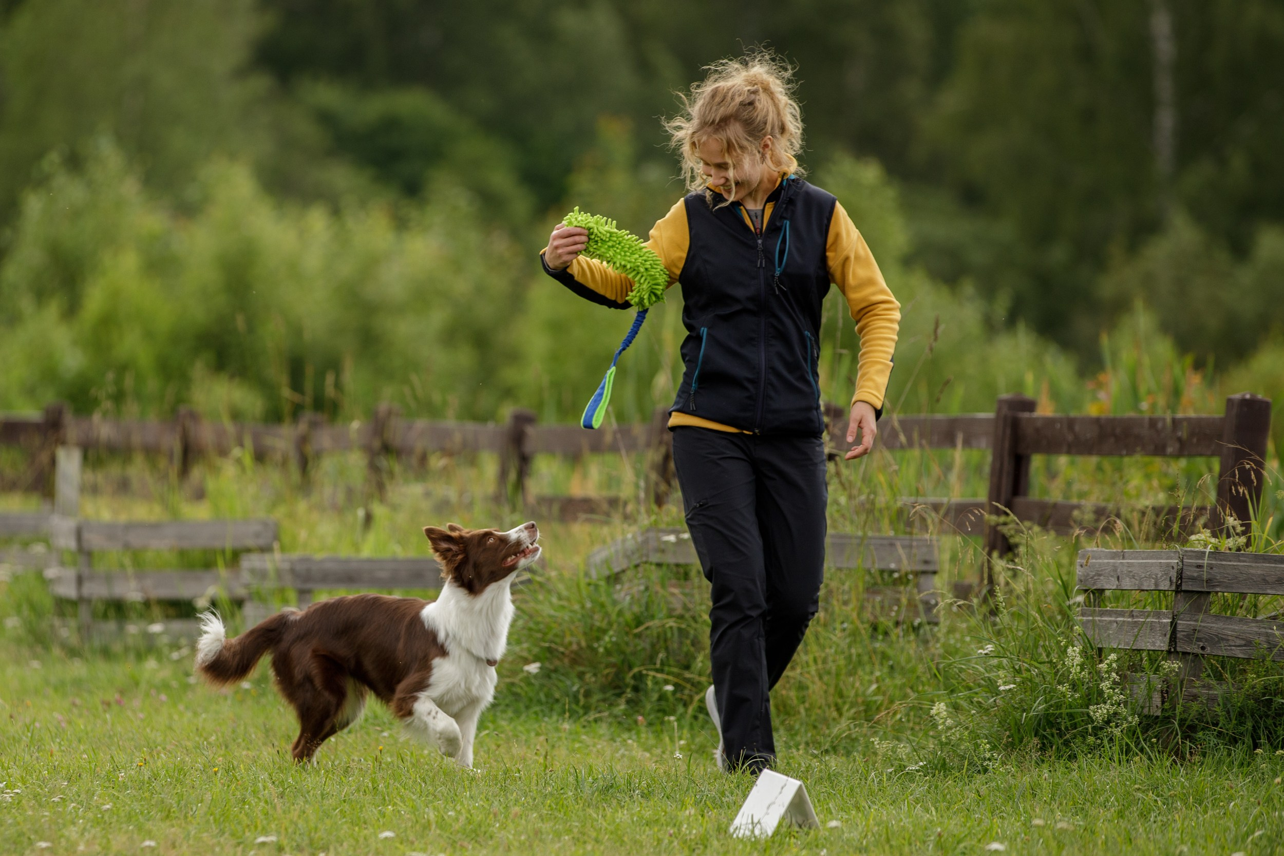 Лиза и Эни. Тренировка в лагере по обидиенс. Фотограф-анималист в Калуге Мария Шерскова