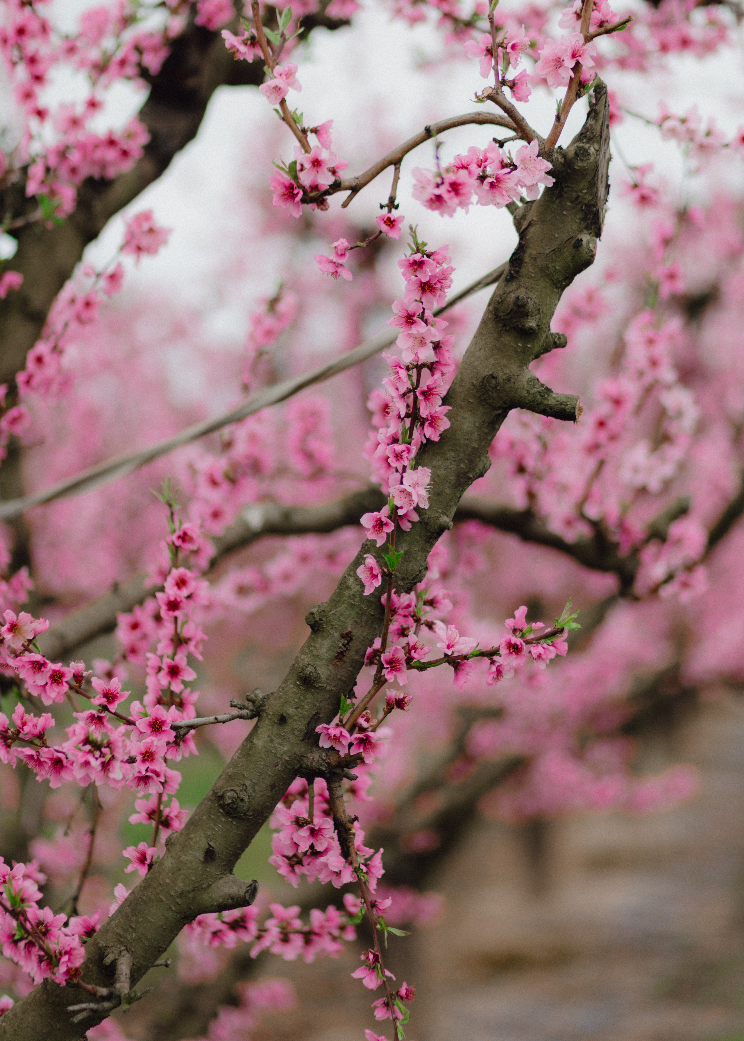 Sasha & Anton. Barbara Isaeva