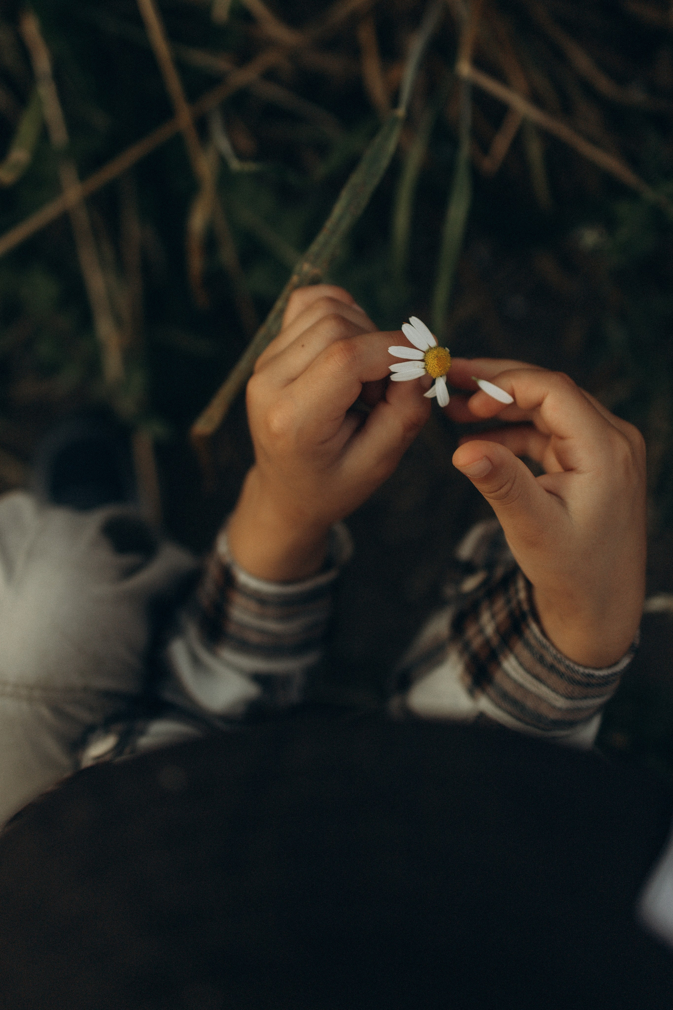 Семейная фотосессия ~Анастасия~. Семейный фотограф в Ижевске Даша Денисова