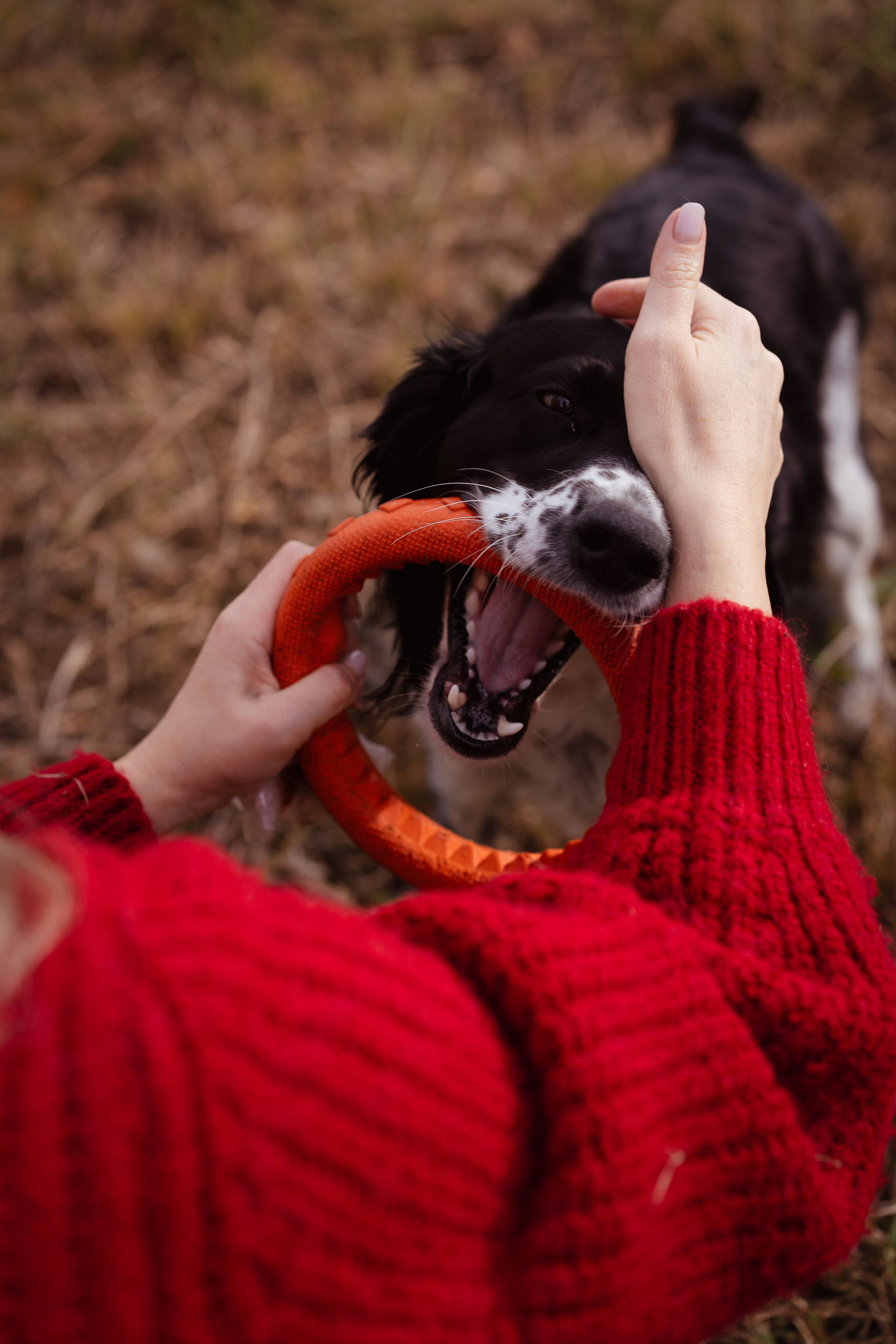 Прогулочные съемки. Иван Волохов