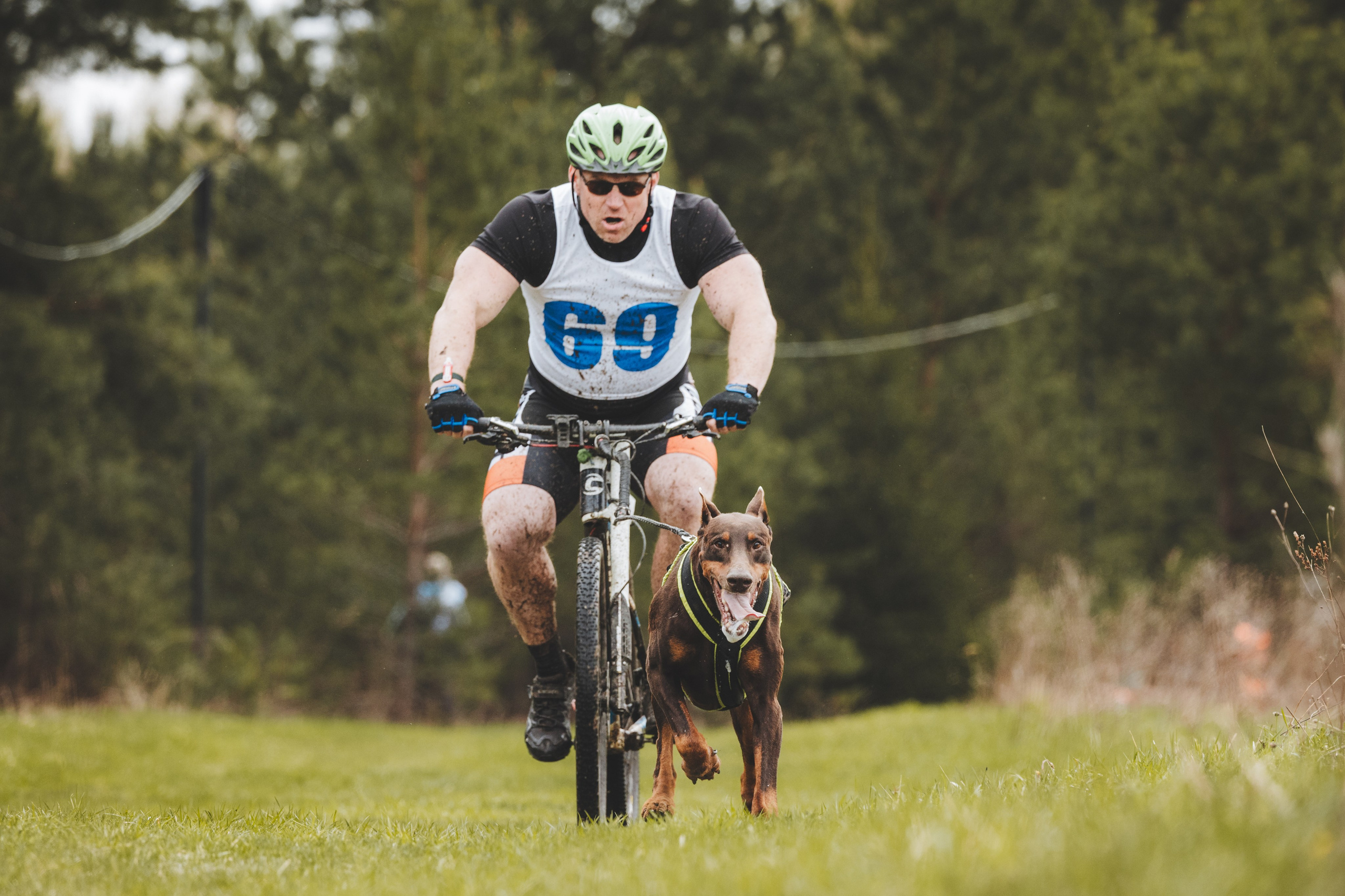 Почёвинский драйдленд. Фотограф Ирина Астор
