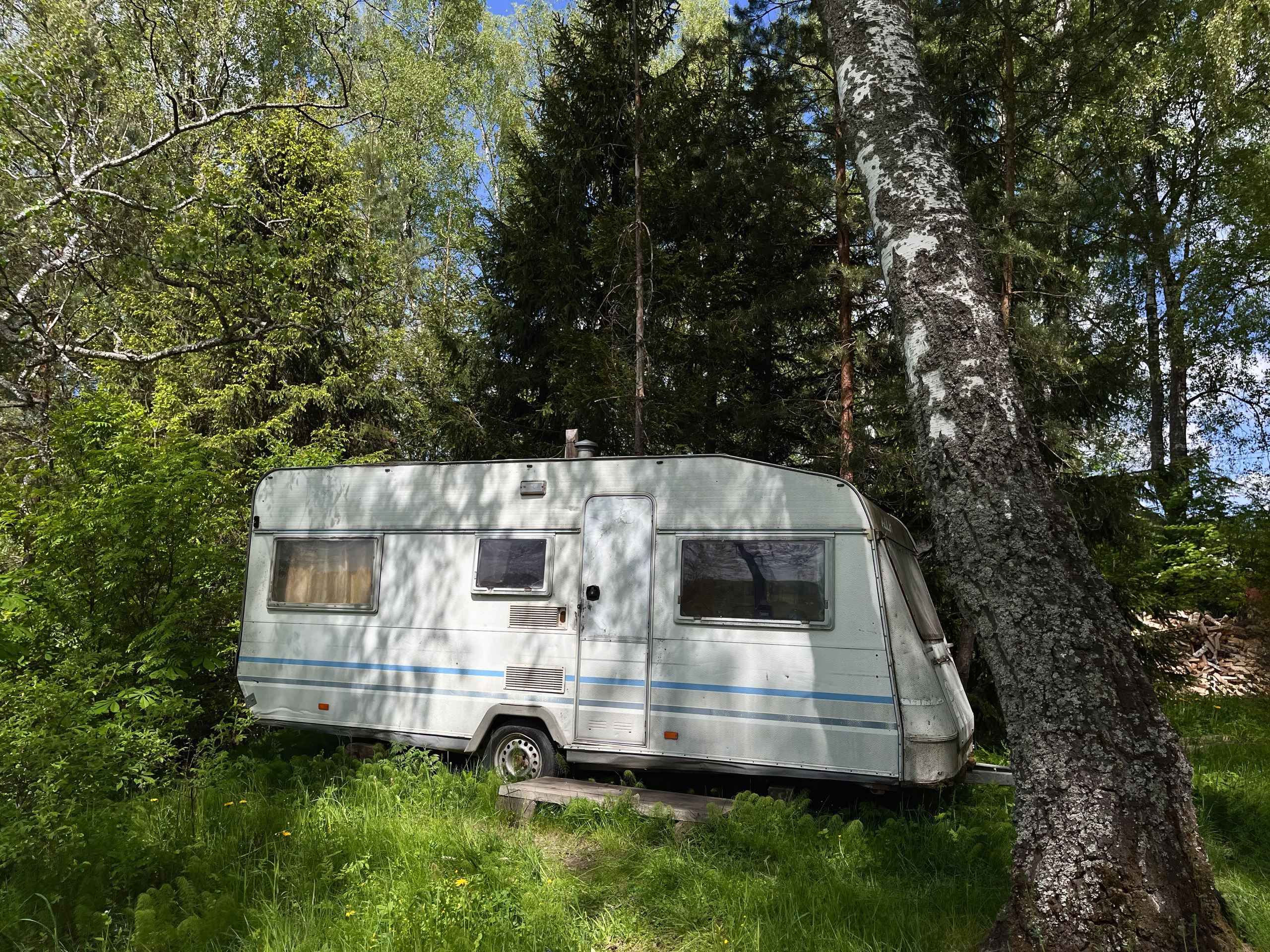 На берегу Угры. Конец мая 2024 года. Фотограф Никифоров-Гордеев Сергей. Москва и МО