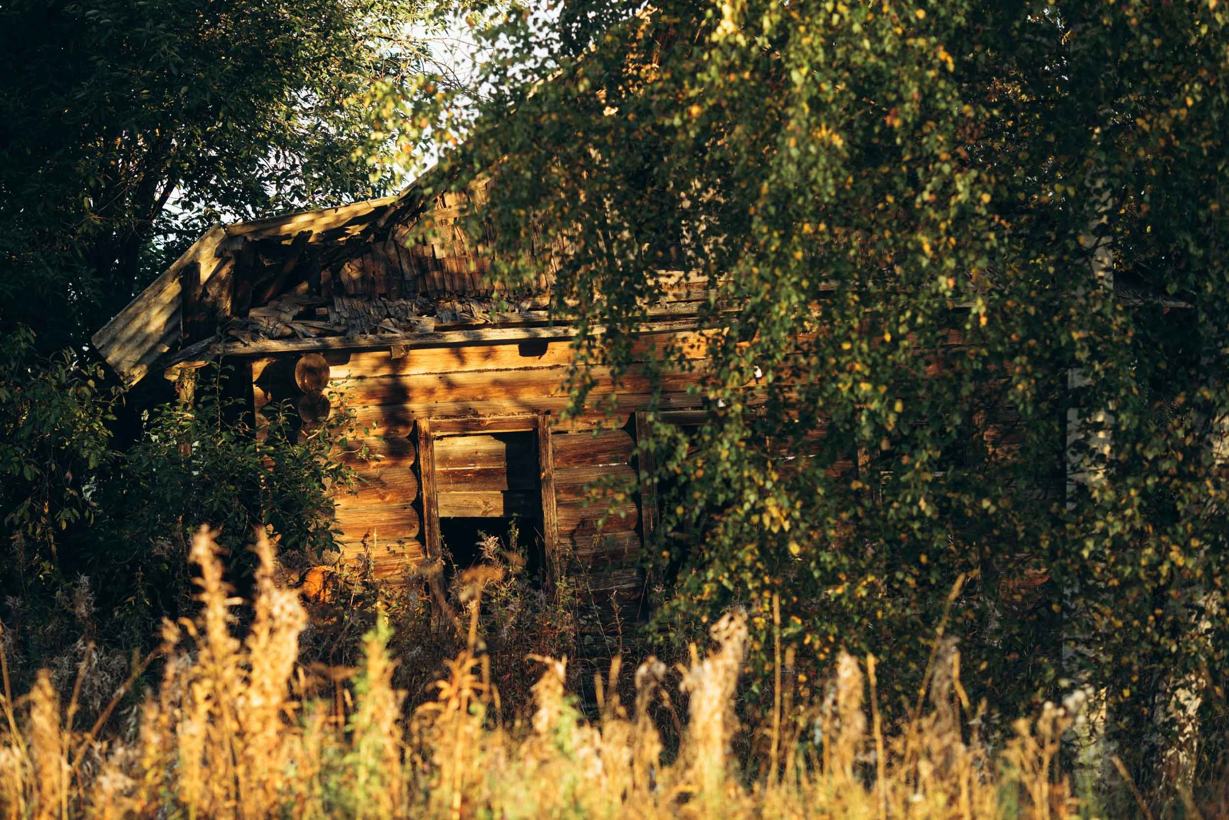 Природные пейзажи. Наталия Клевинскас портретный фотограф в Костроме
