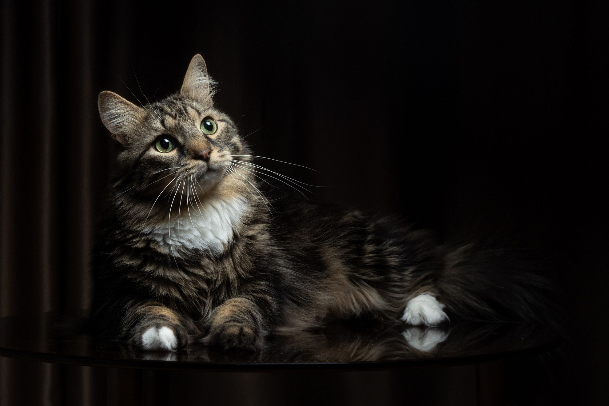 Лека и Дар. Свадебный и репортажный фотограф в Москве и Московской области