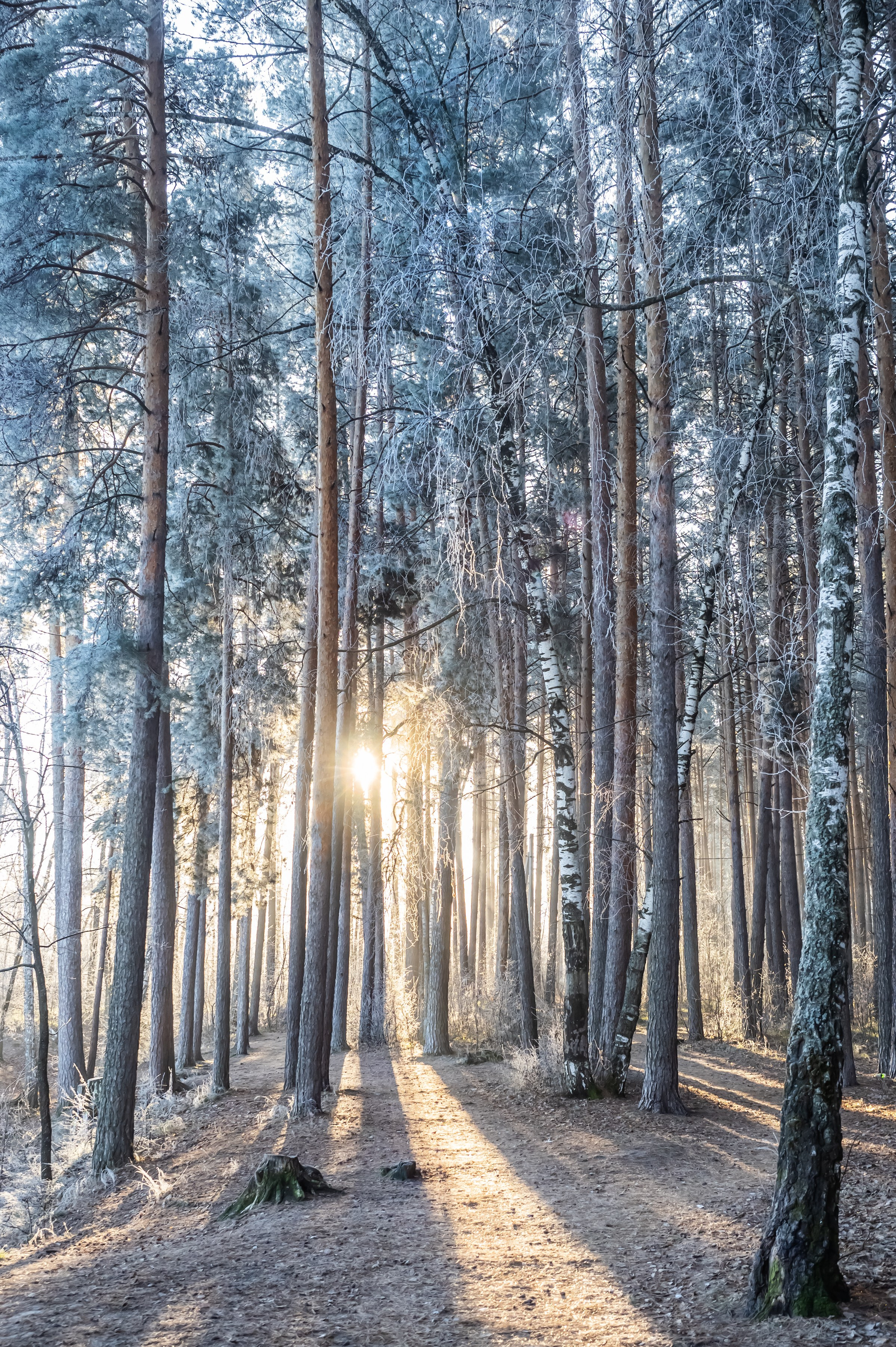 Красота Заречного. Репортажный, семейный и детский фотограф в Пензе и Заречном Арина Ермилова. Картины барельеф на заказ