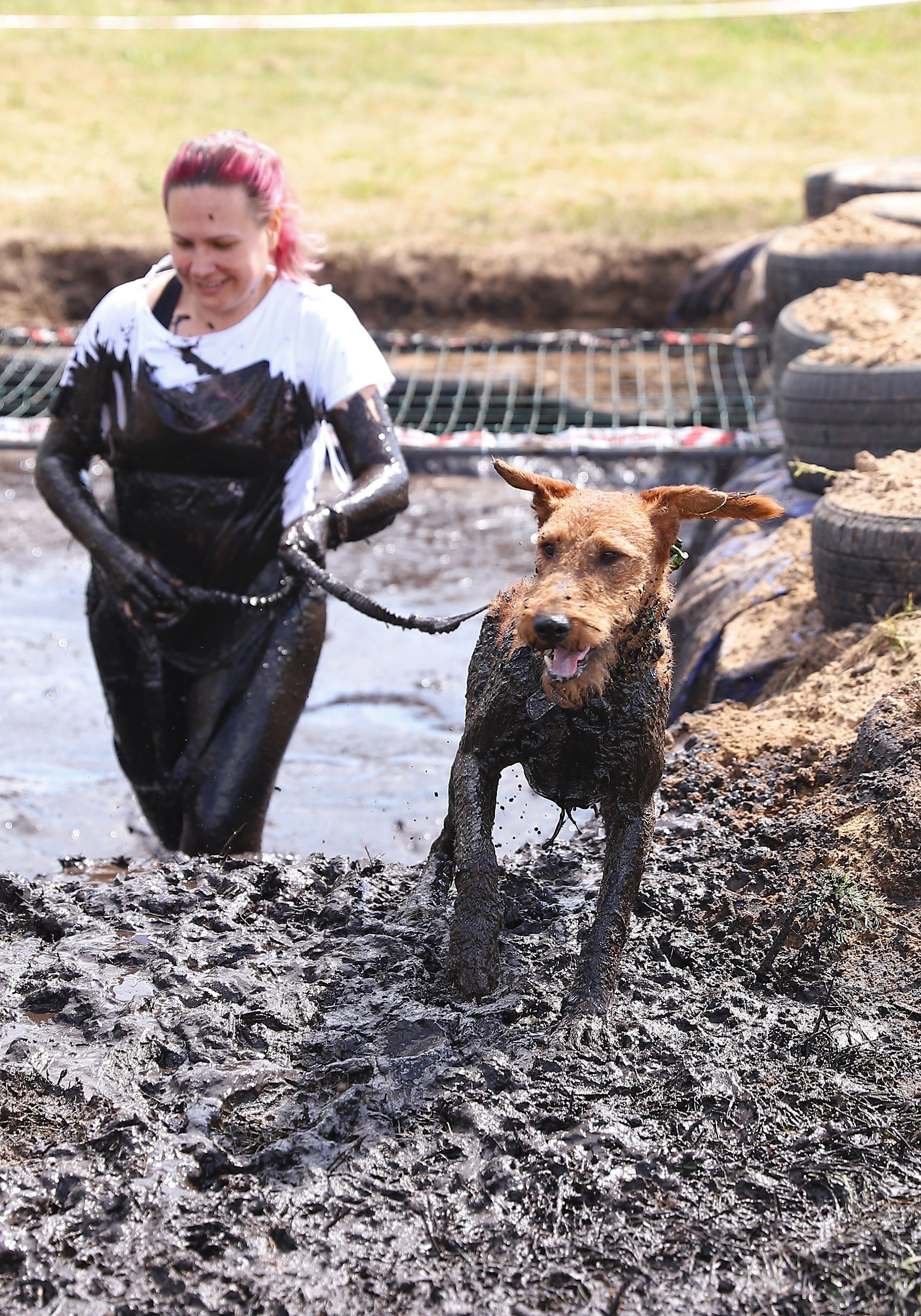 Хвостатый драйв. Семейный и детский фотограф в Москве и МО Елена Москвичева
