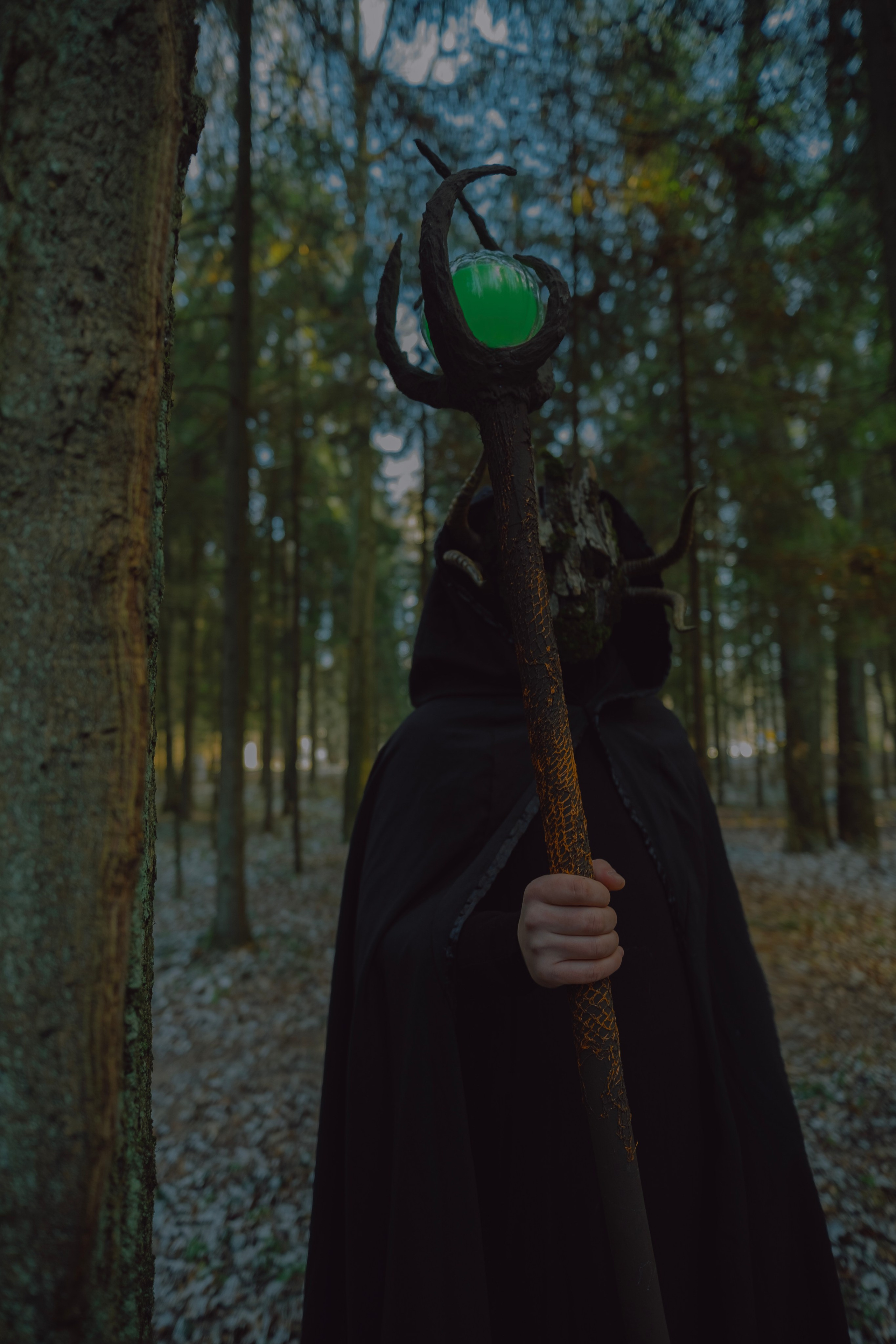 «Дух леса». Фотограф (Москва, Мытищи)— Комова Анастасия